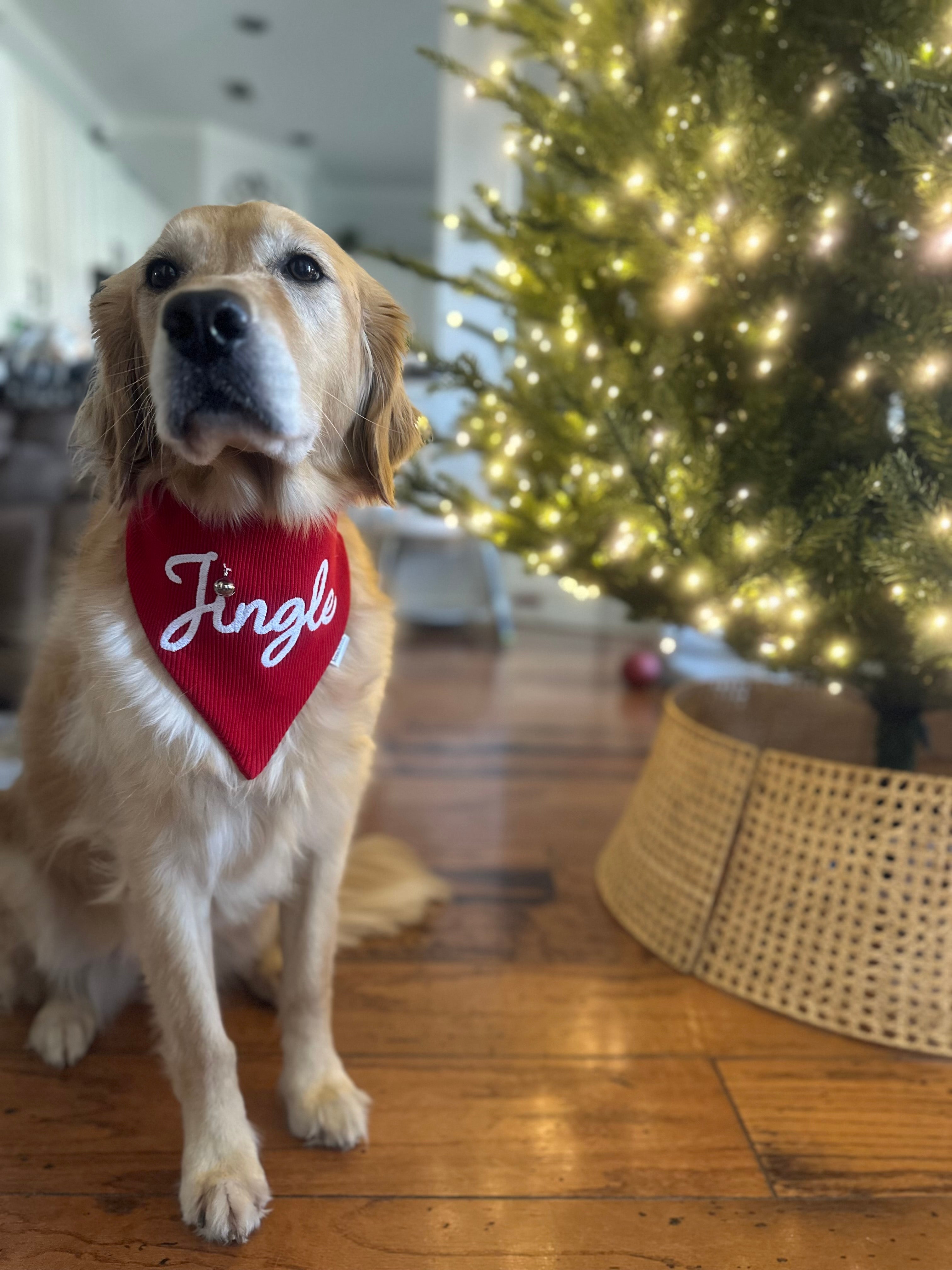 Jingle Scrunchiedana®