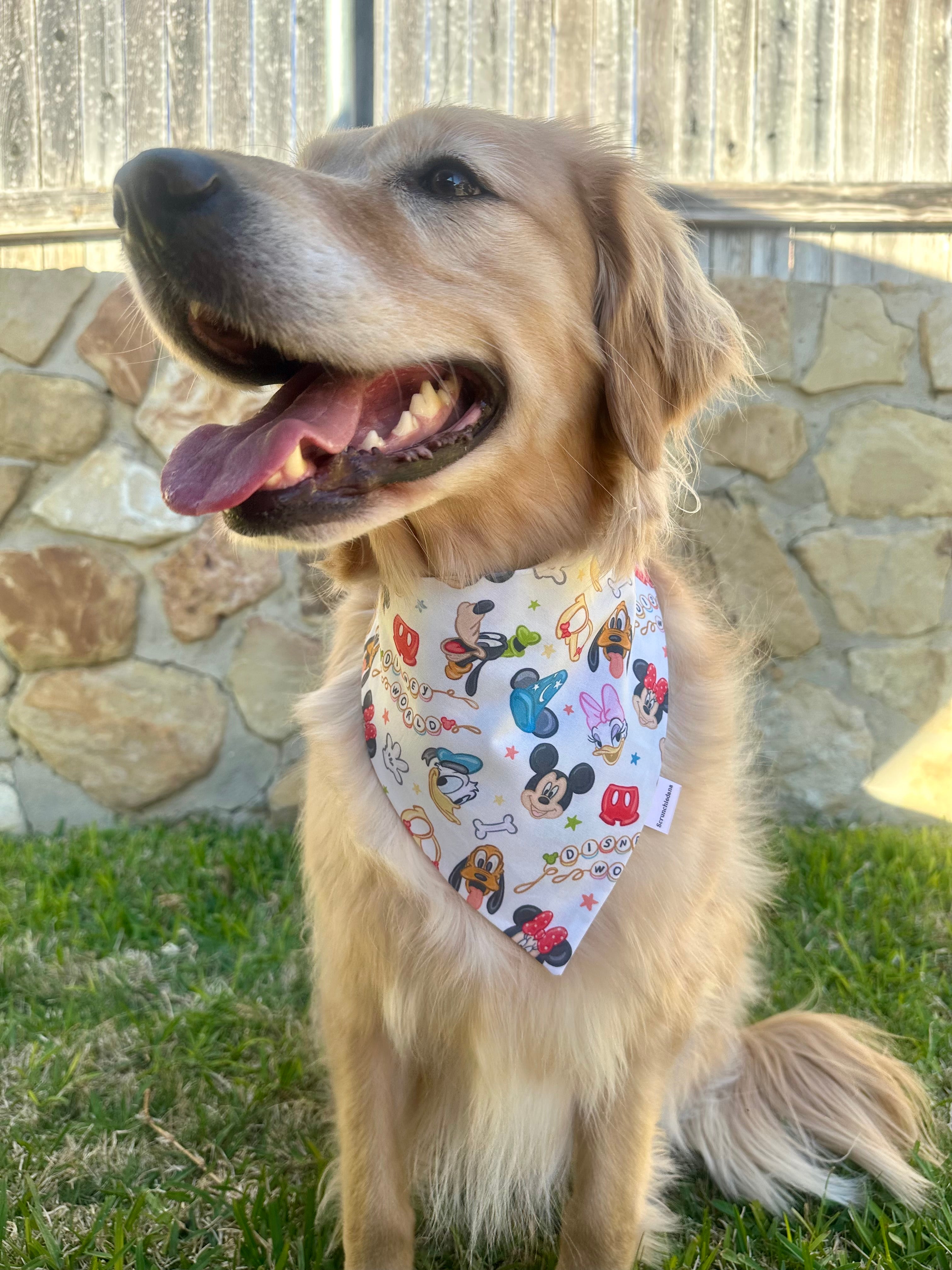 Magical Scrunchiedana®