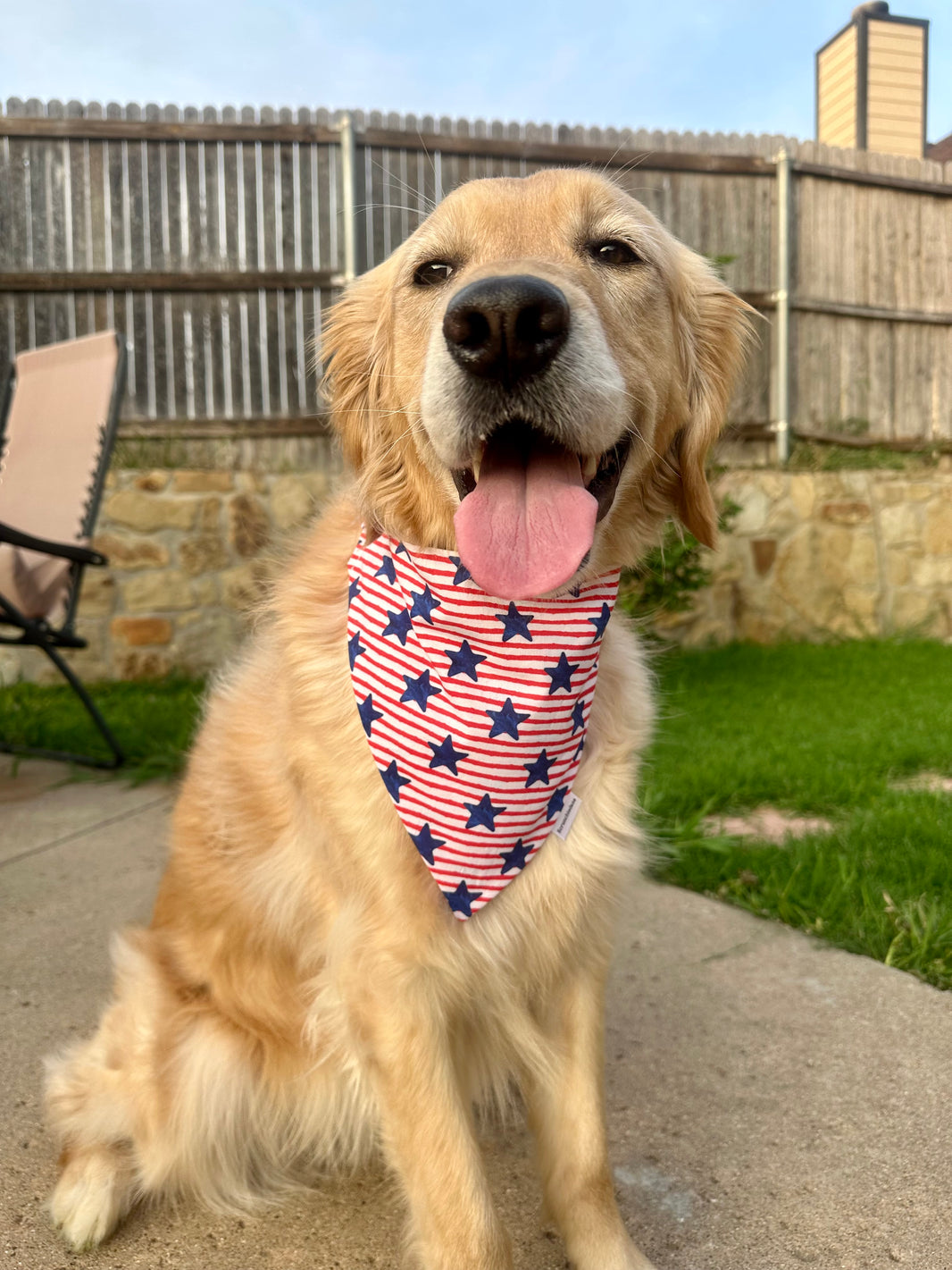 Stars & Stripes