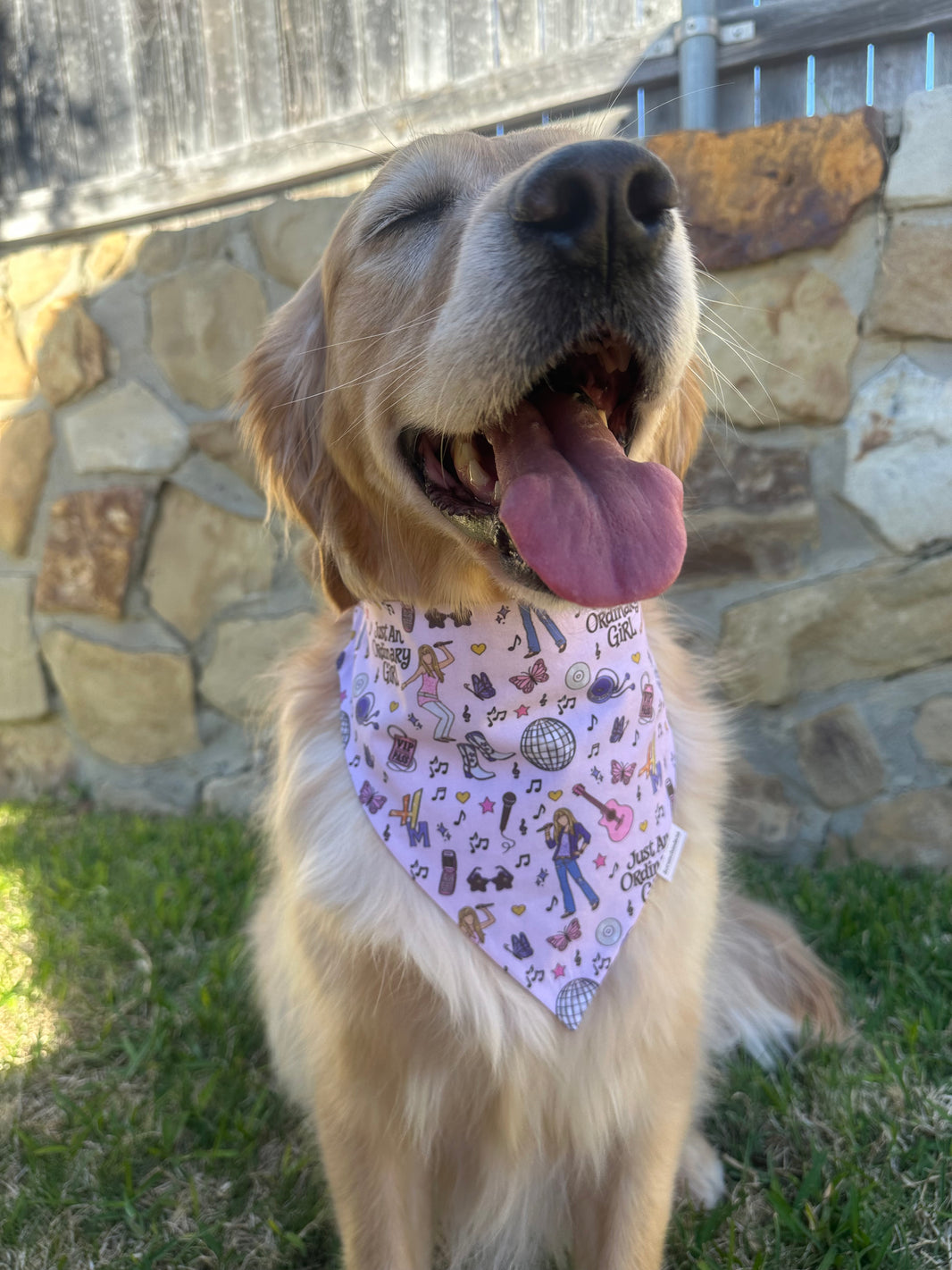 Ordinary Girl Scrunchiedana®