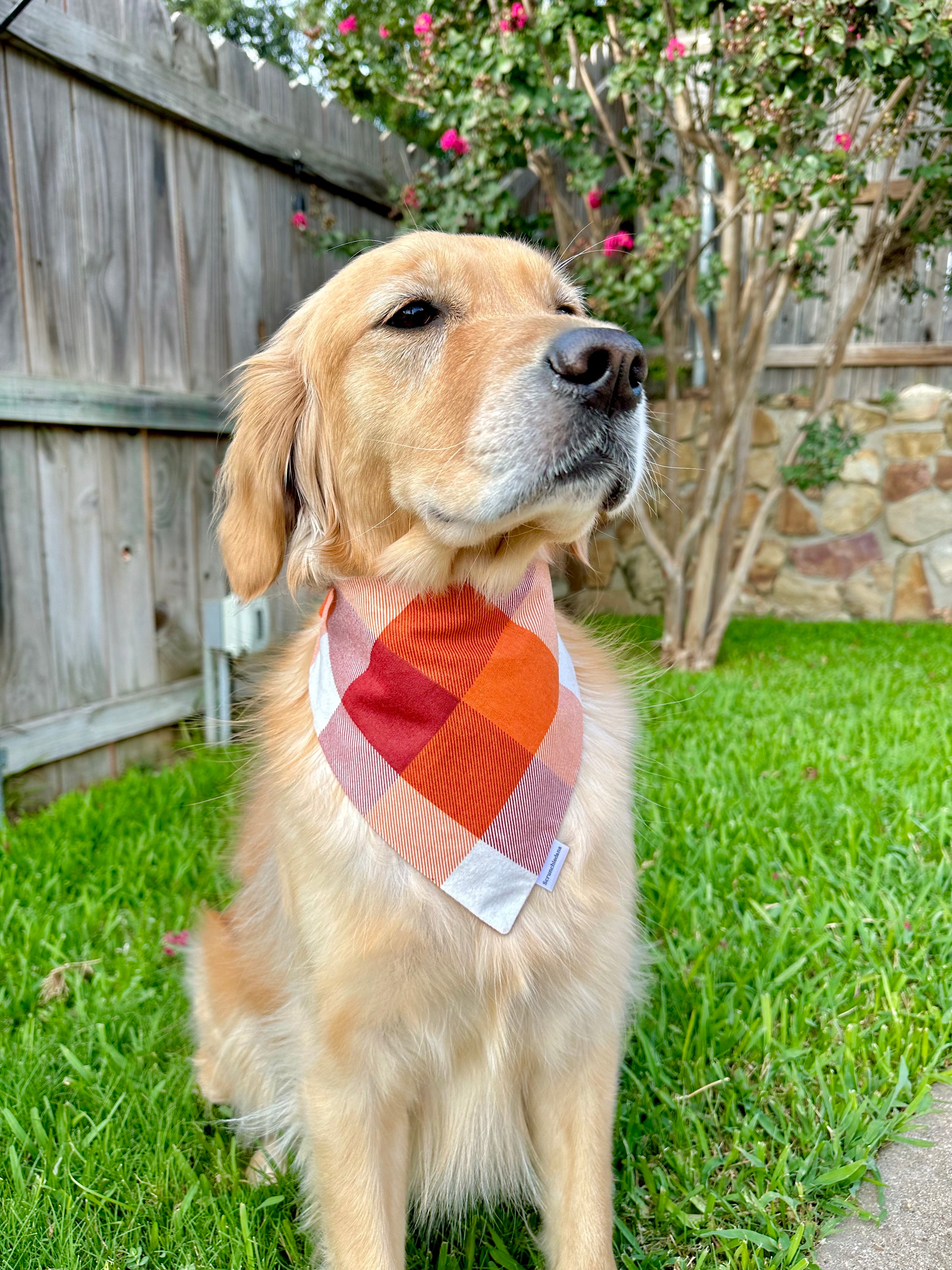 ‘Tis Autumn Flannel Scrunchiedana®