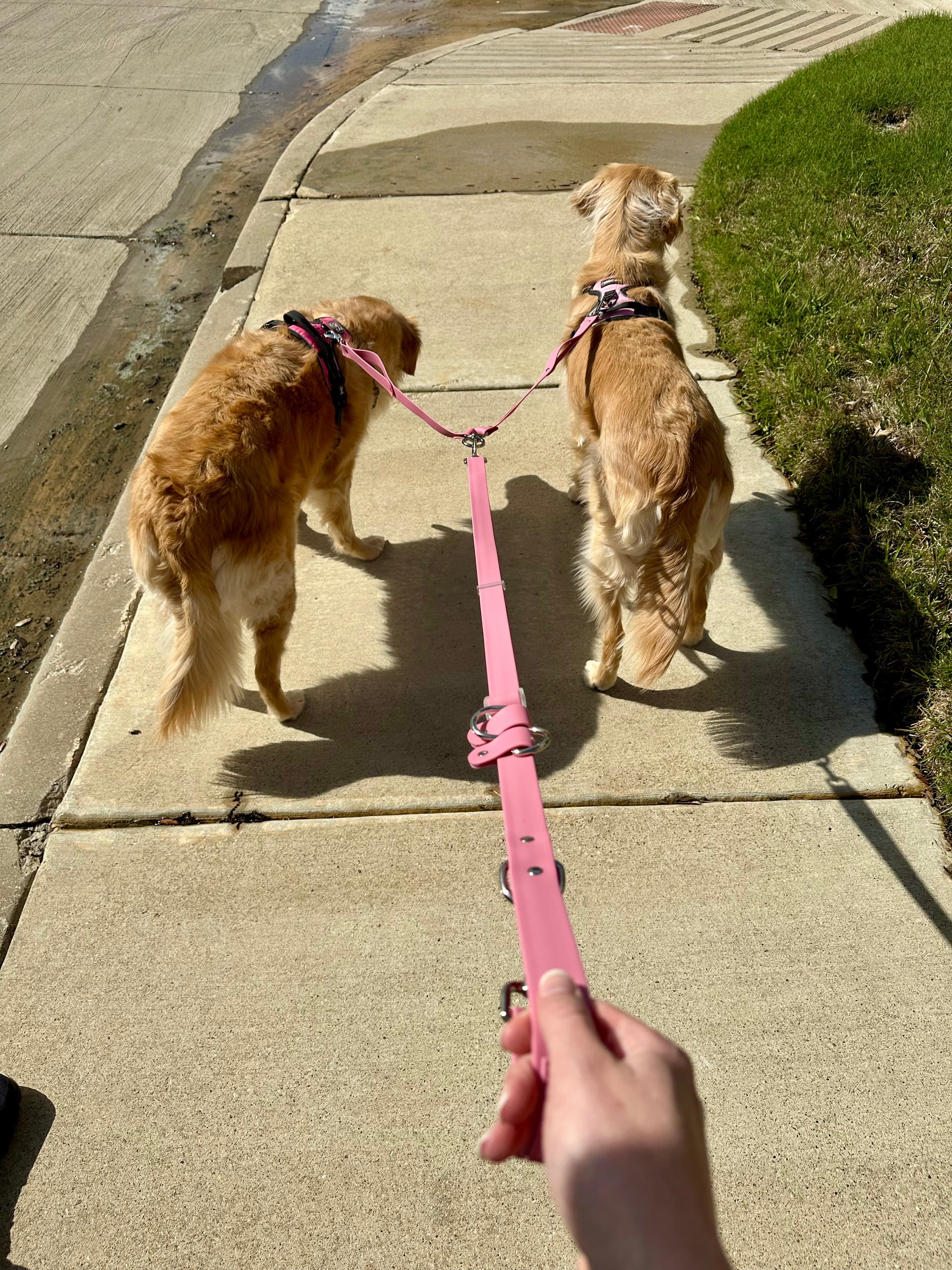 Hands Free Adjustable Leash- Baby Blue