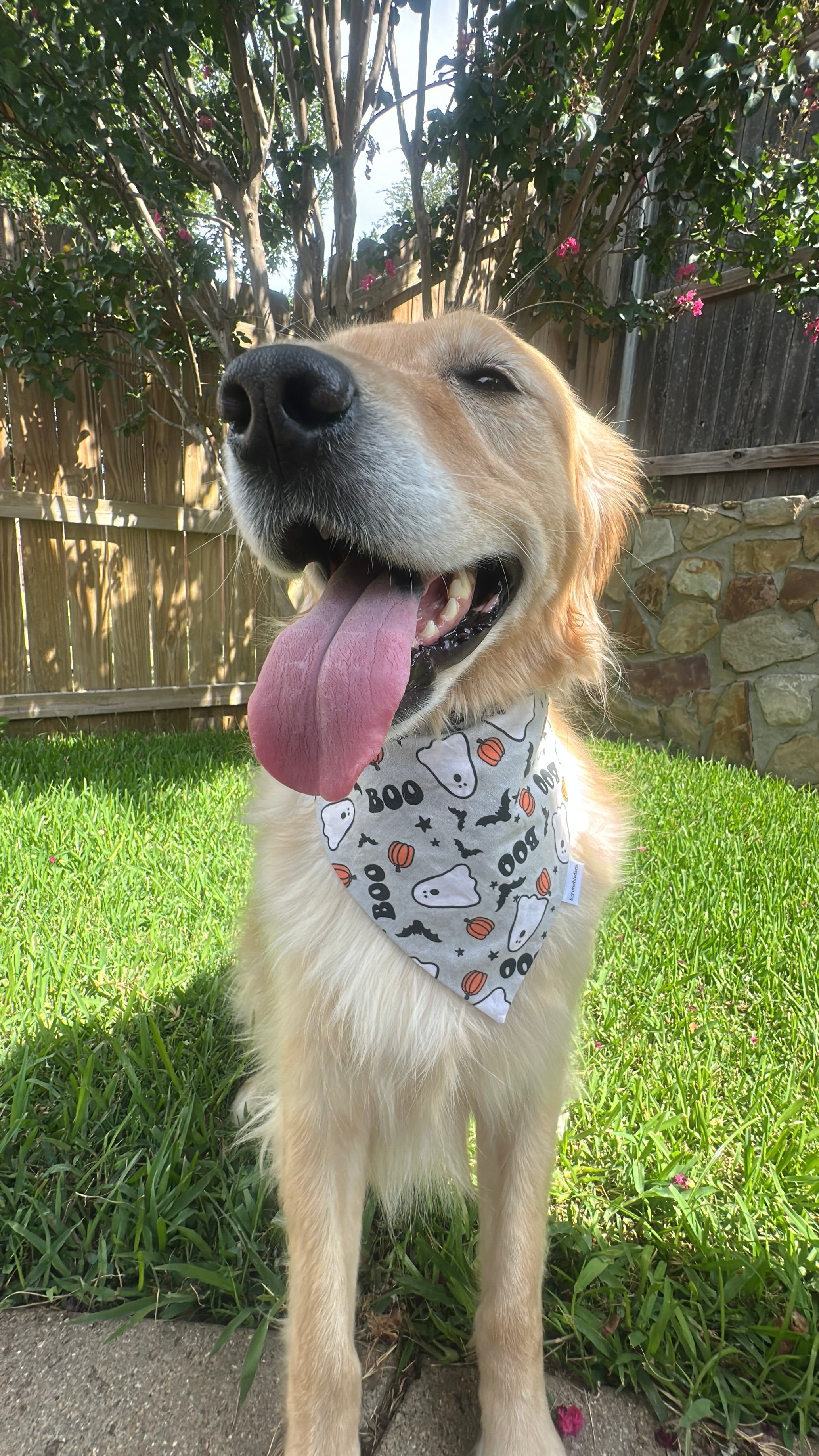 Boos & Bats Scrunchiedana®