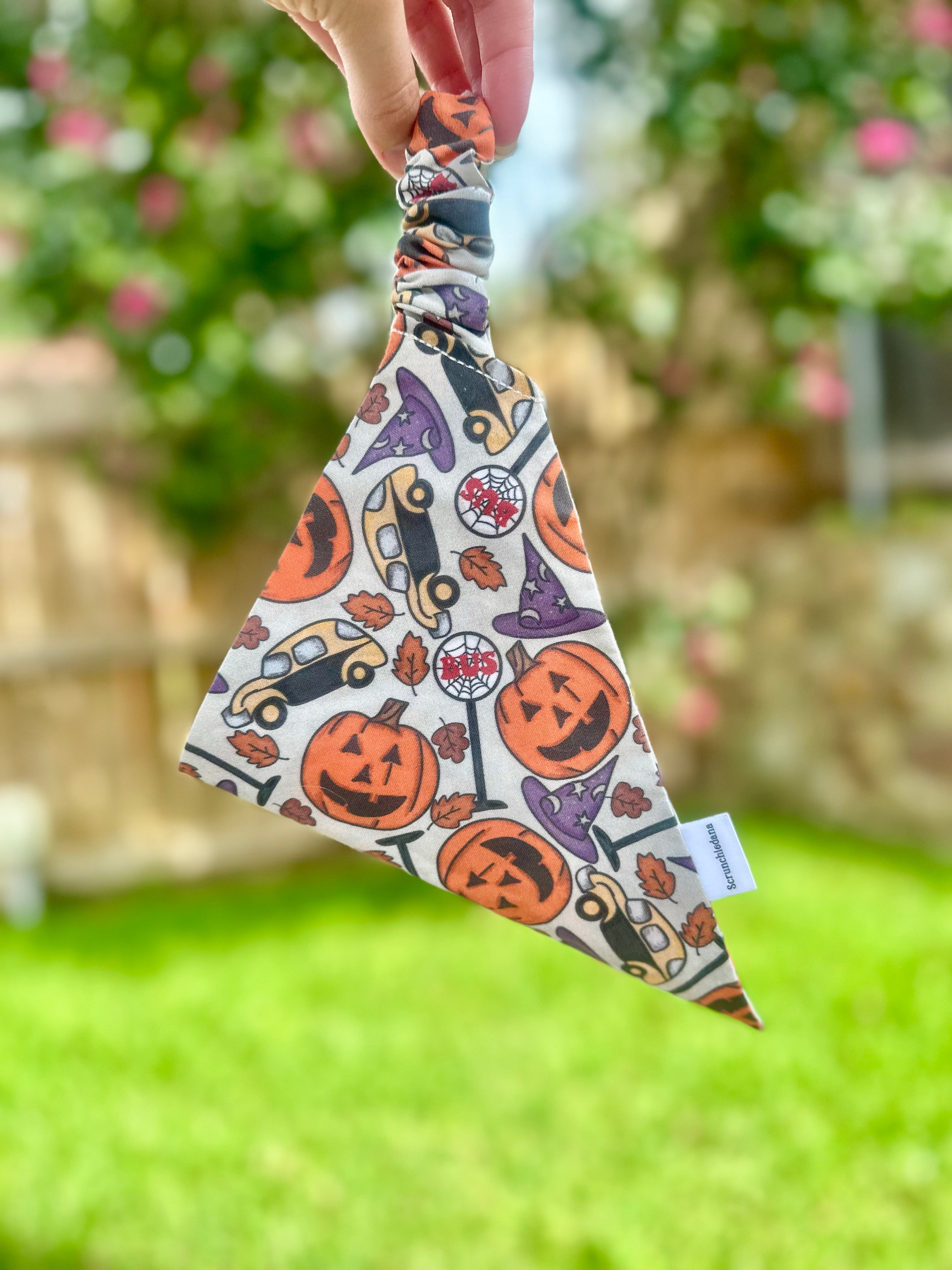 Halloweentown Pup