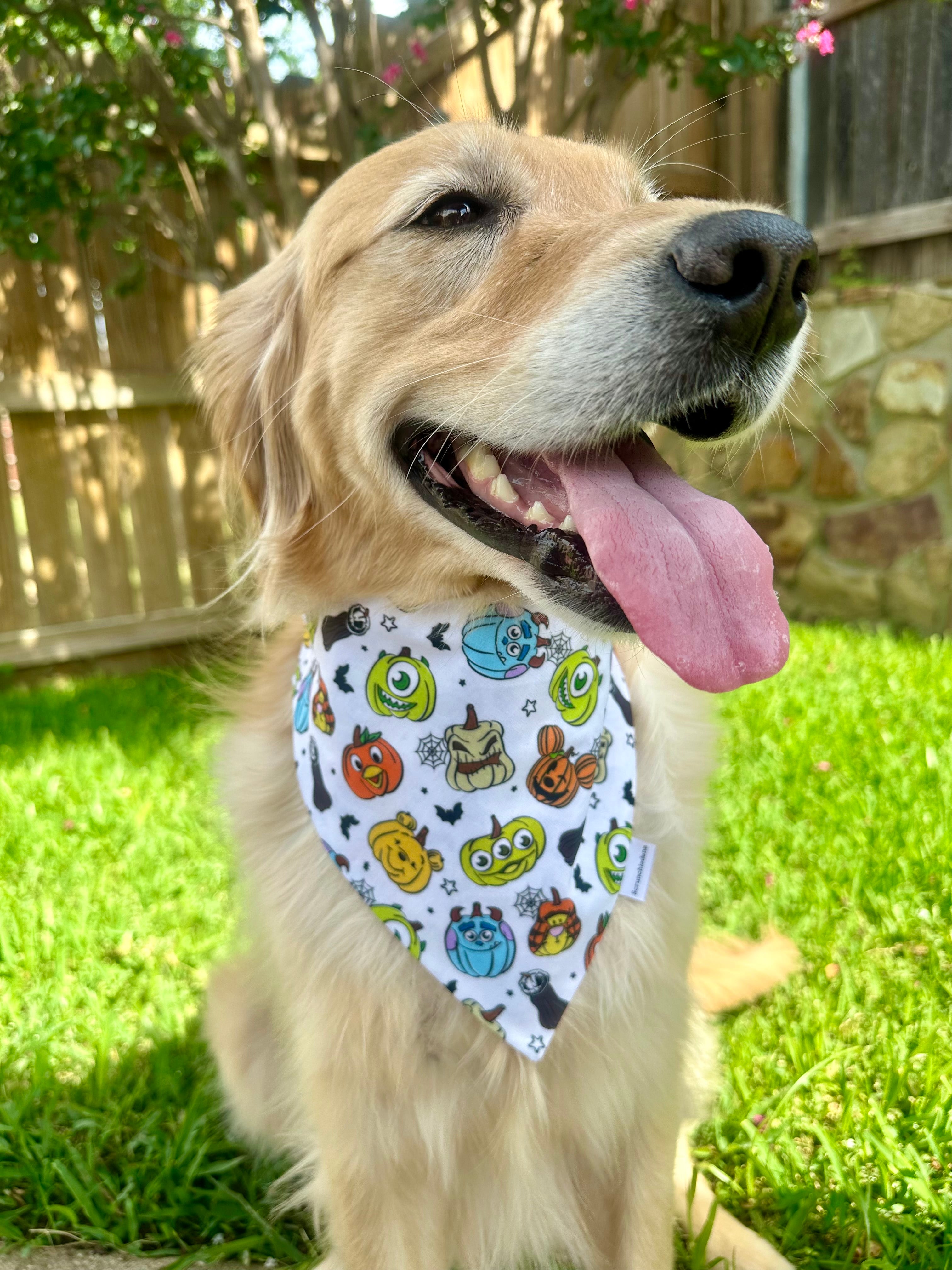 Monster Mash Scrunchiedana®