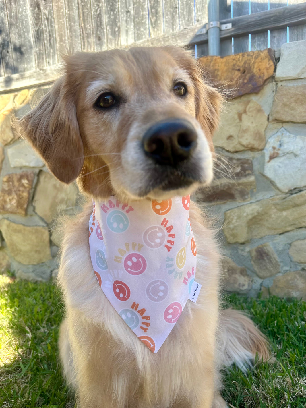 Happy Scrunchiedana®