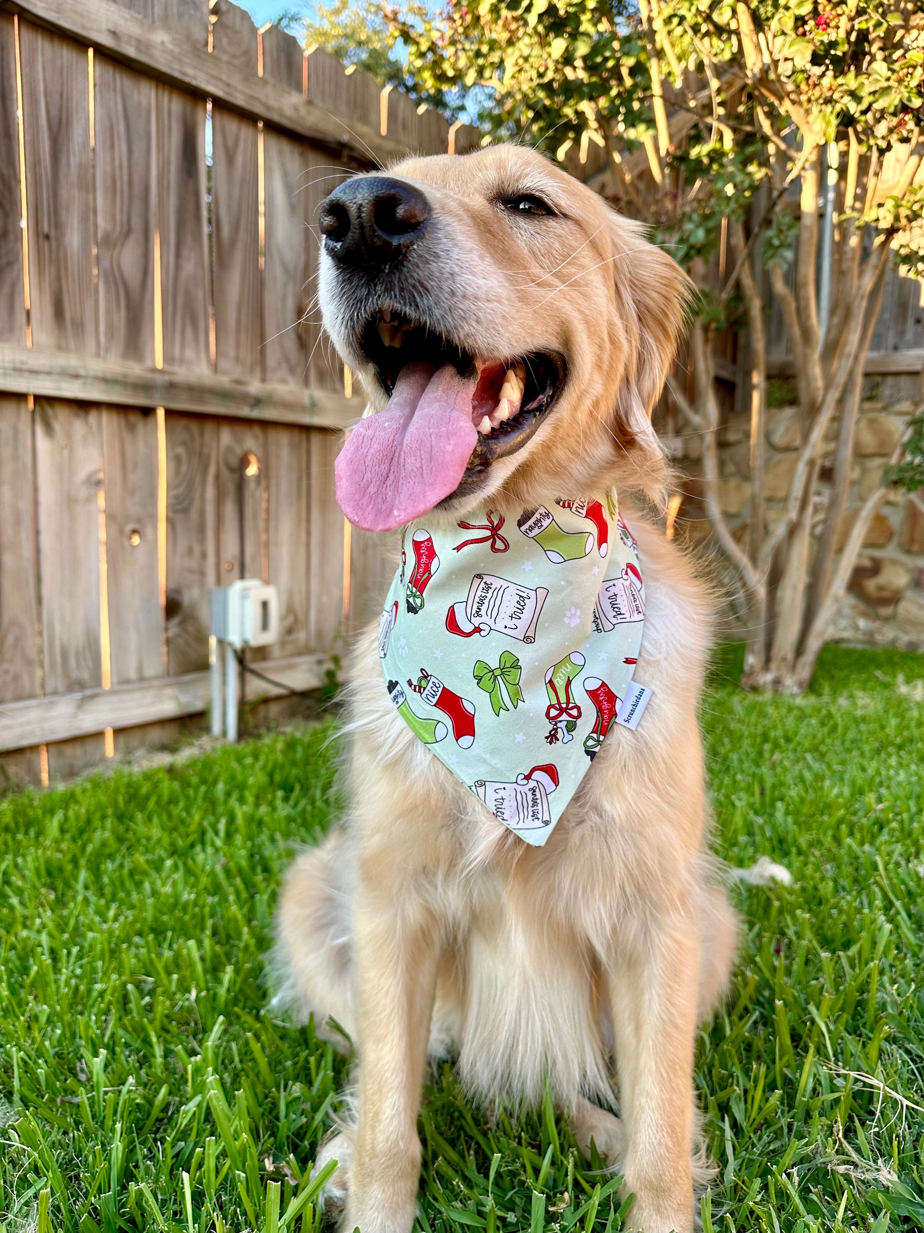 Naughty or Nice Scrunchiedana®