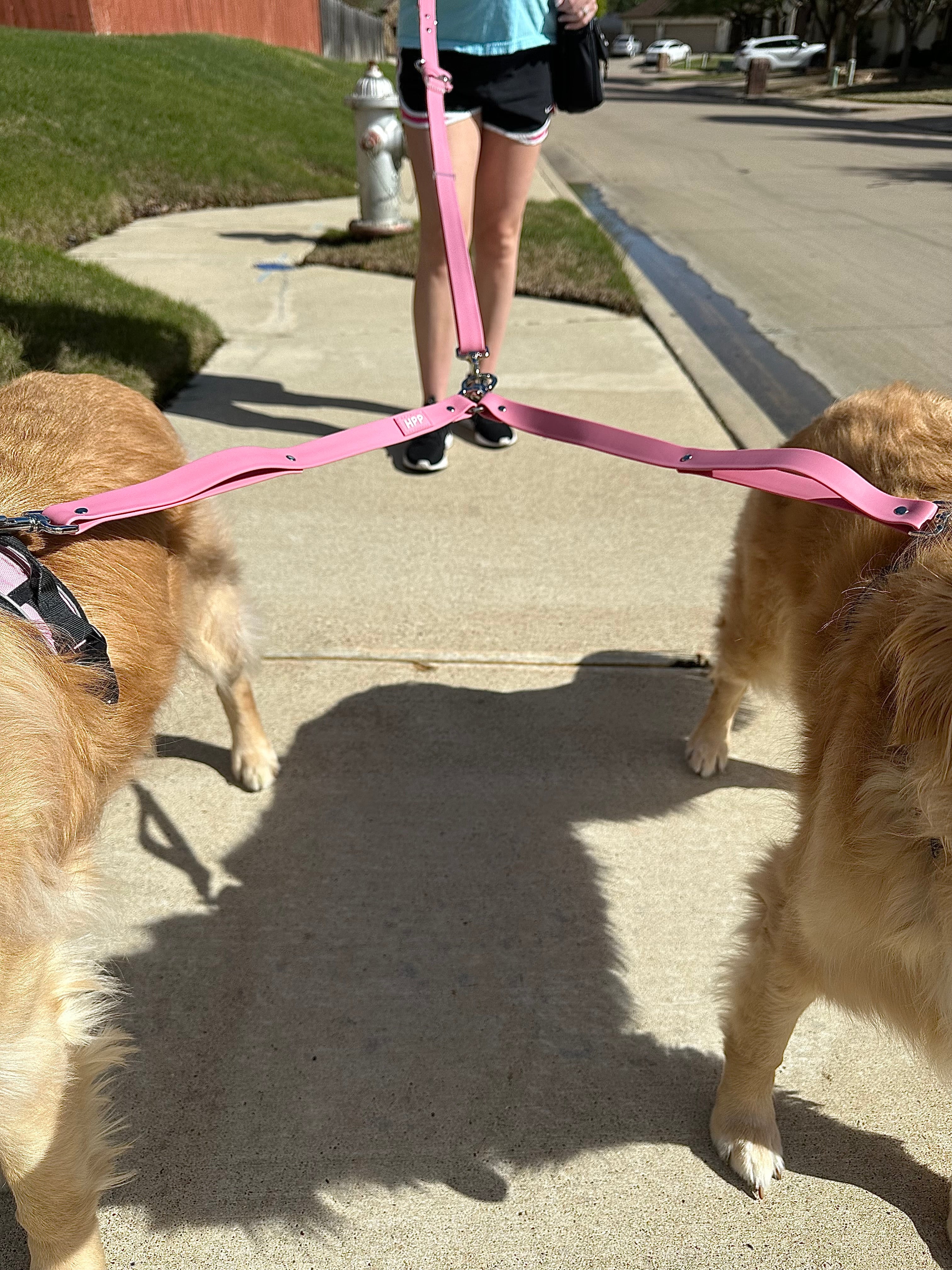 Leash Coupler- Berry Pink