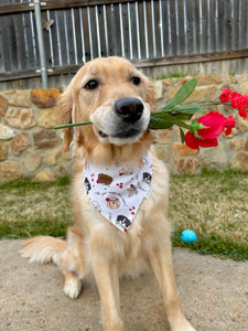 Will you accept this rose?