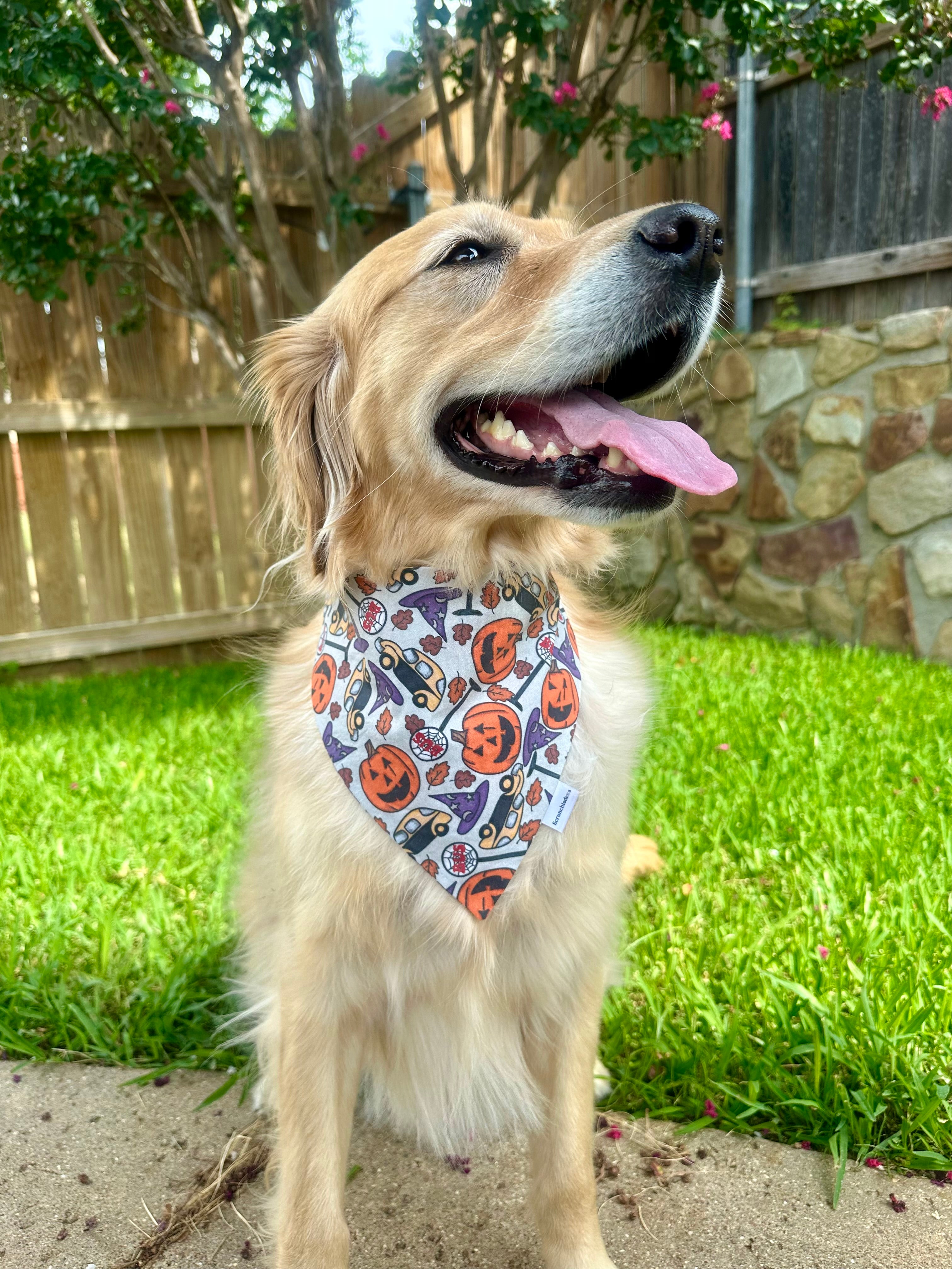 Halloweentown Pup Scrunchiedana®