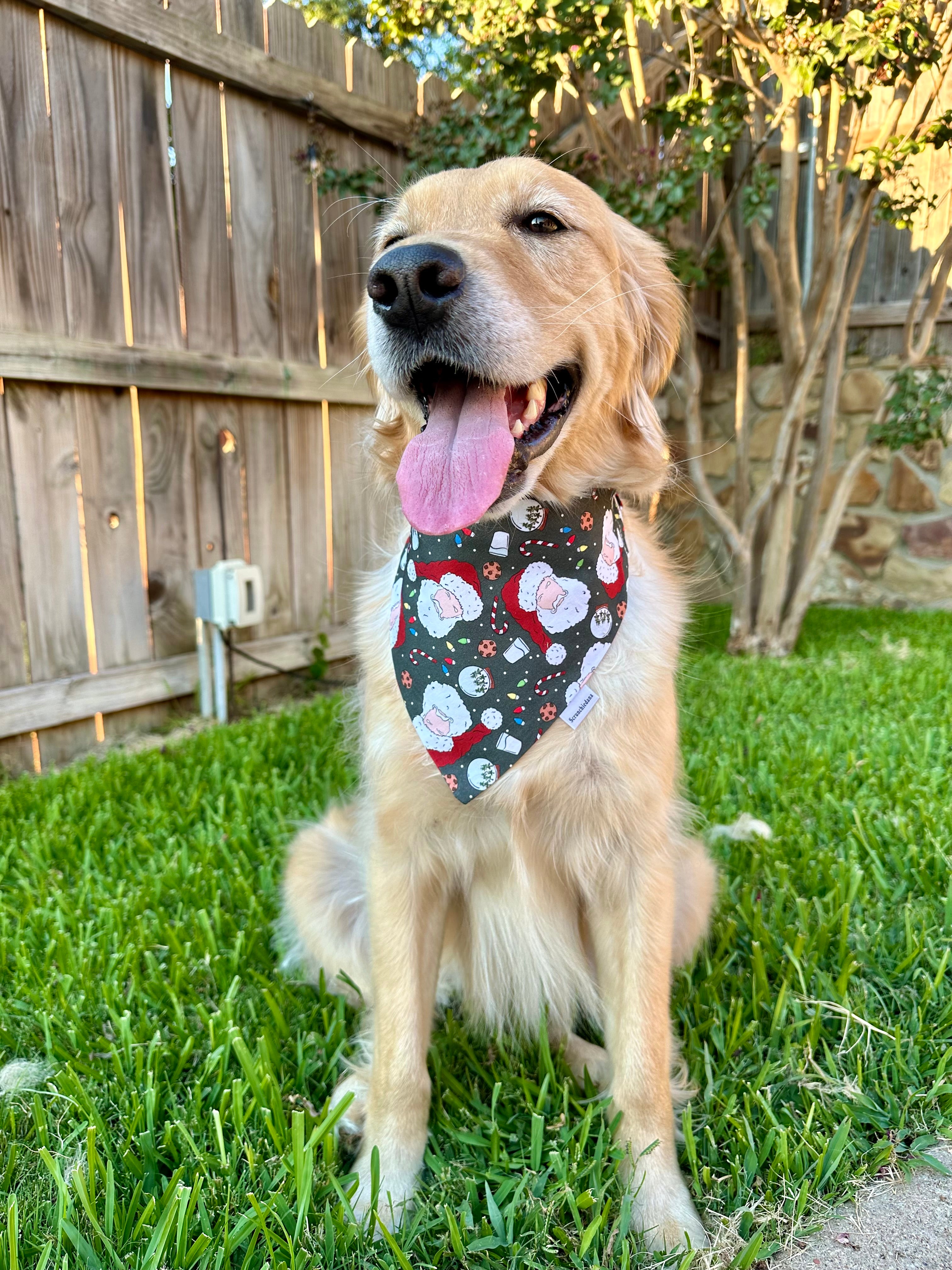 Santa Paws Scrunchiedana®