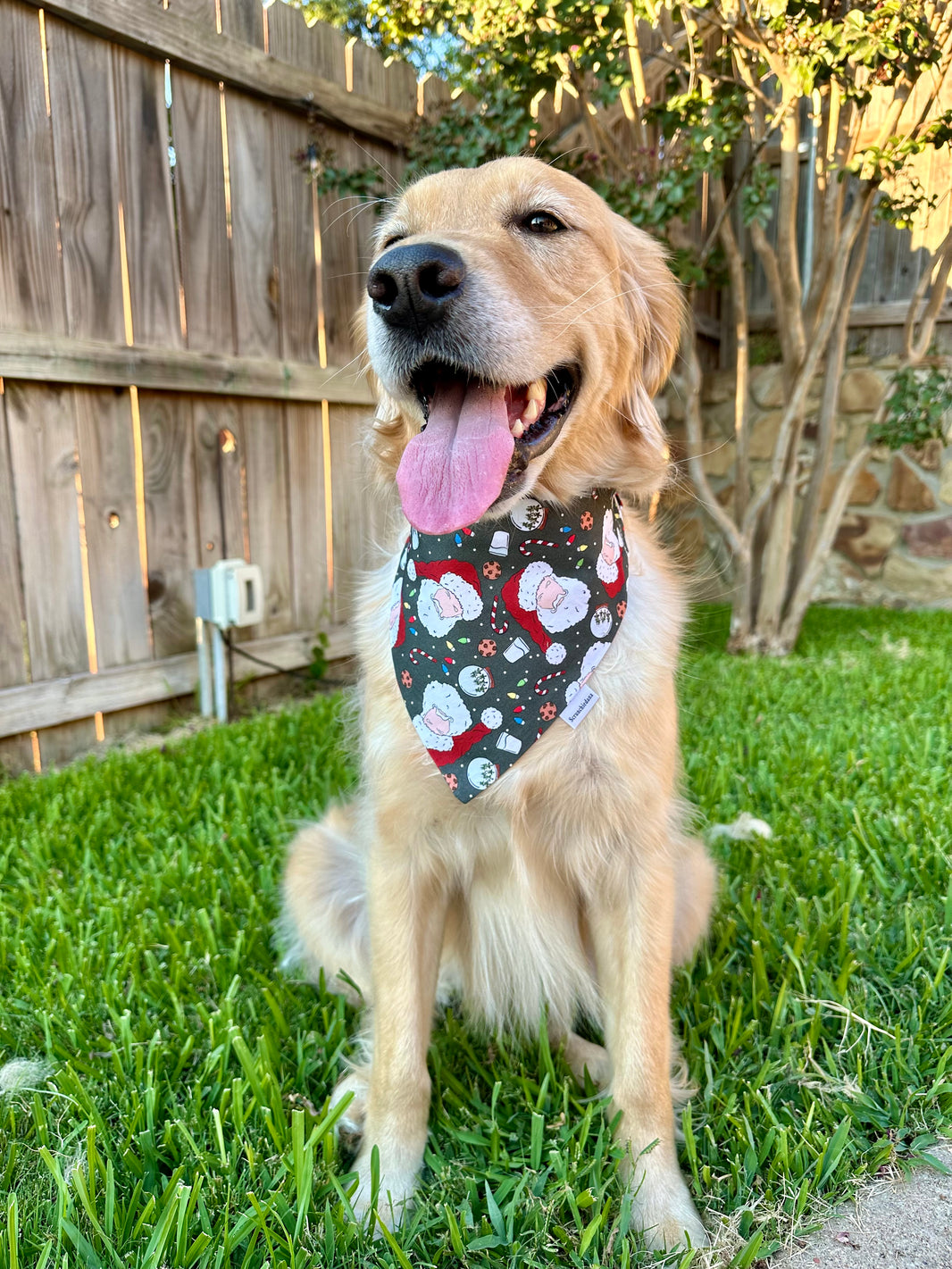 Santa Paws Scrunchiedana®
