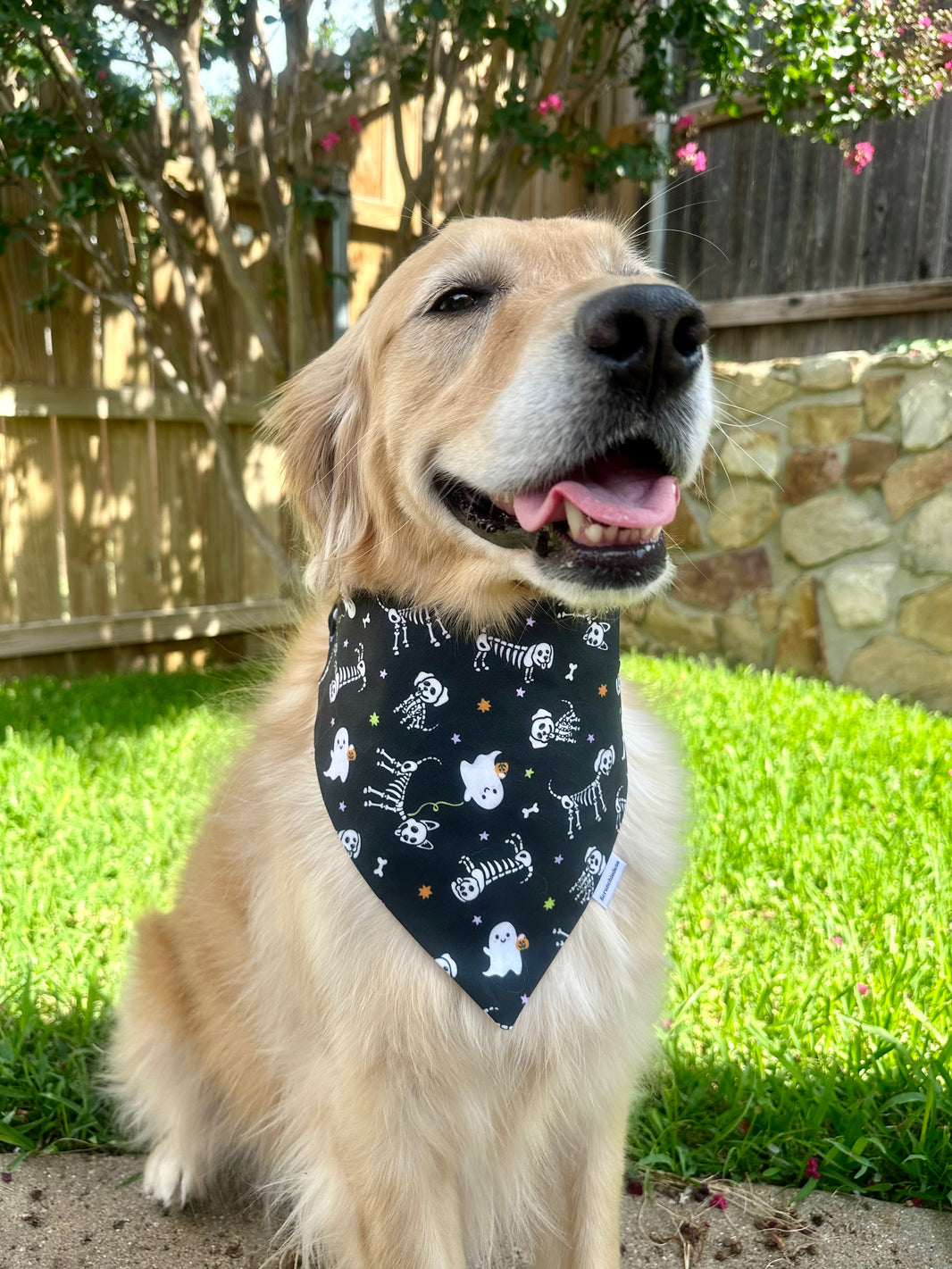 My Dog is My Boo Scrunchiedana®