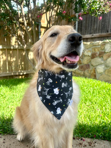 My Dog is My Boo