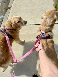 Leash Coupler- Berry Pink