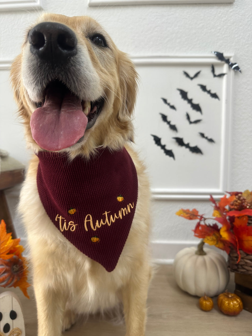 'tis Autumn Scrunchiedana®