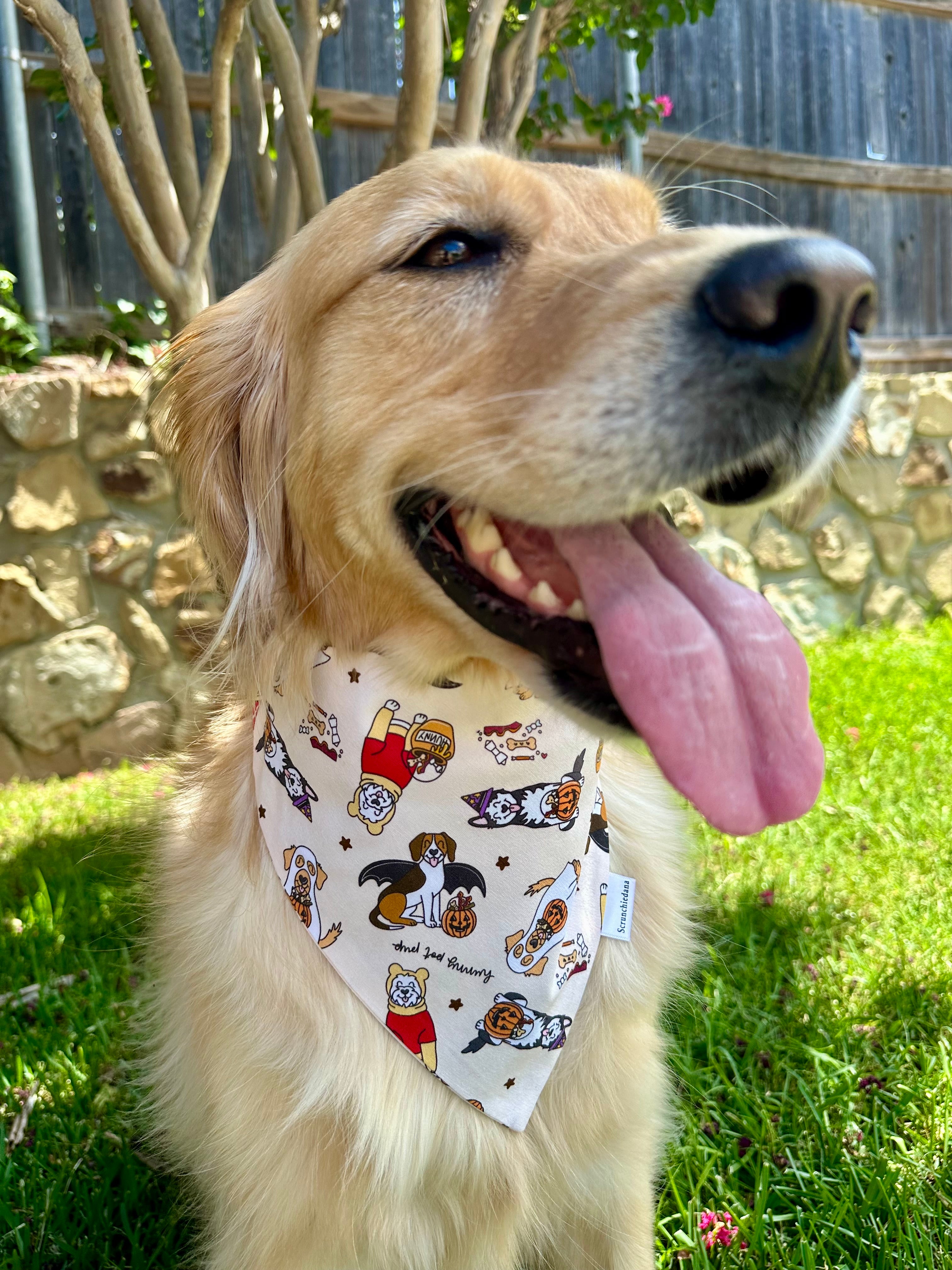 Spooky Doggos Scrunchiedana®