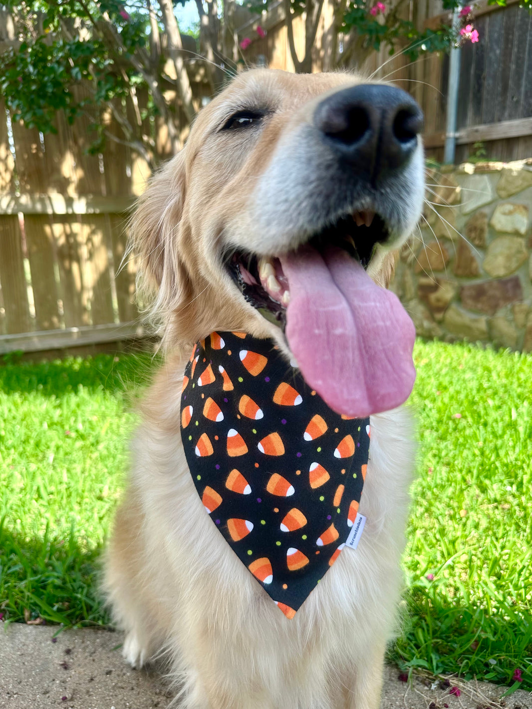 Candy Corn Flannel Scrunchiedana®