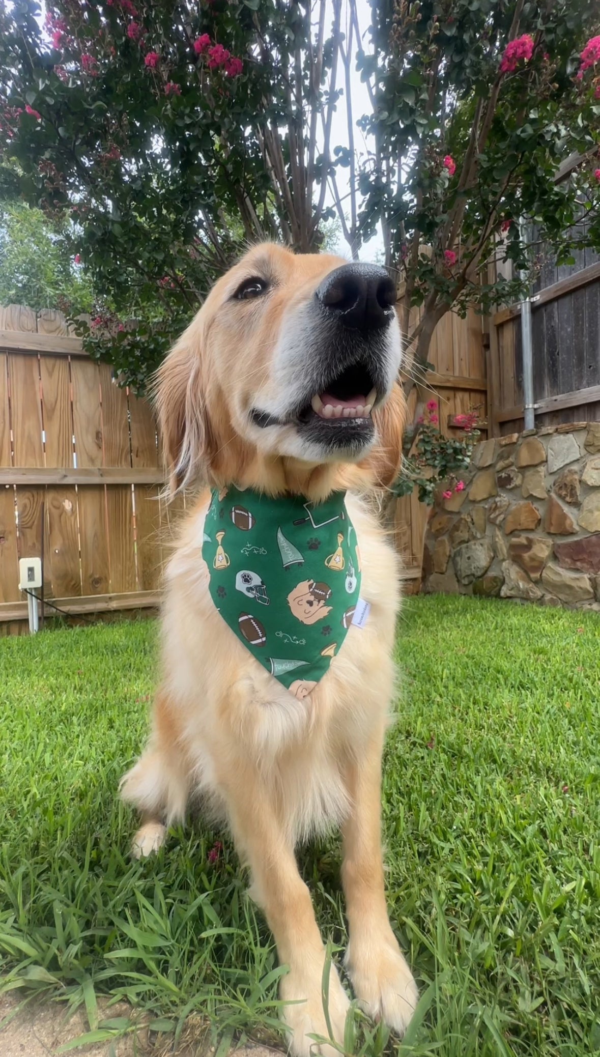 Woofball Scrunchiedana®