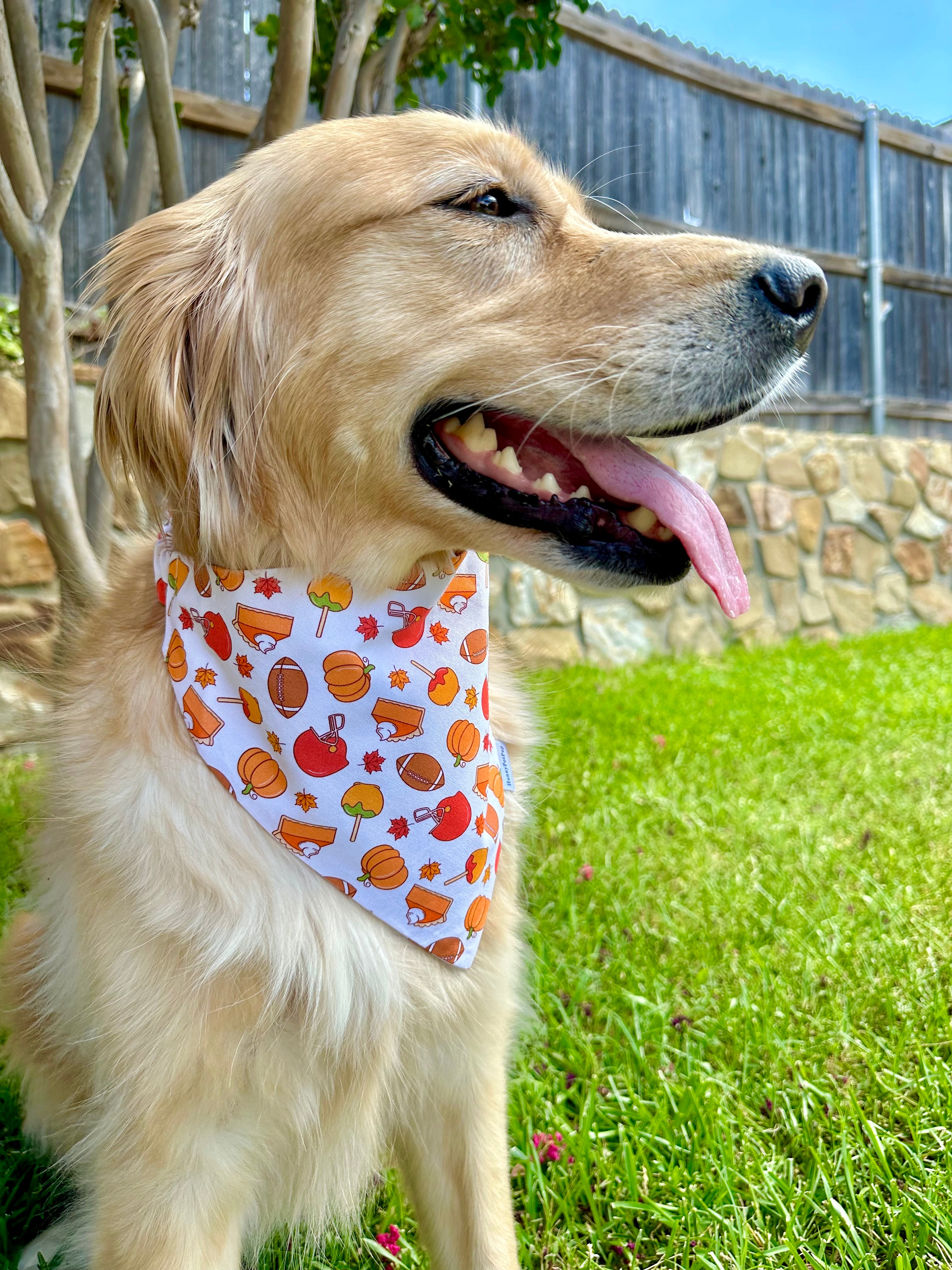 Gobble Gobble Scrunchiedana®