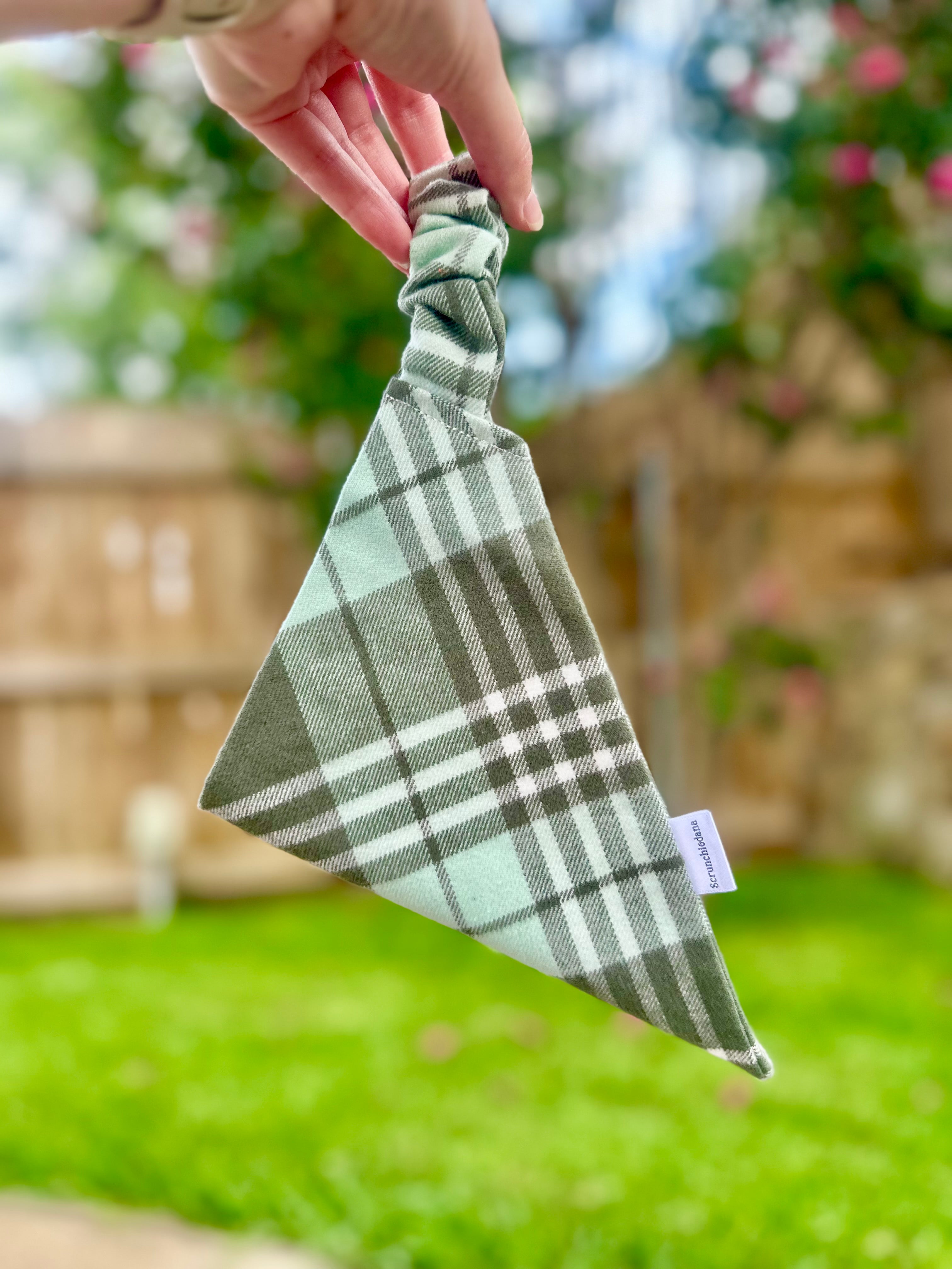 Sage Plaid