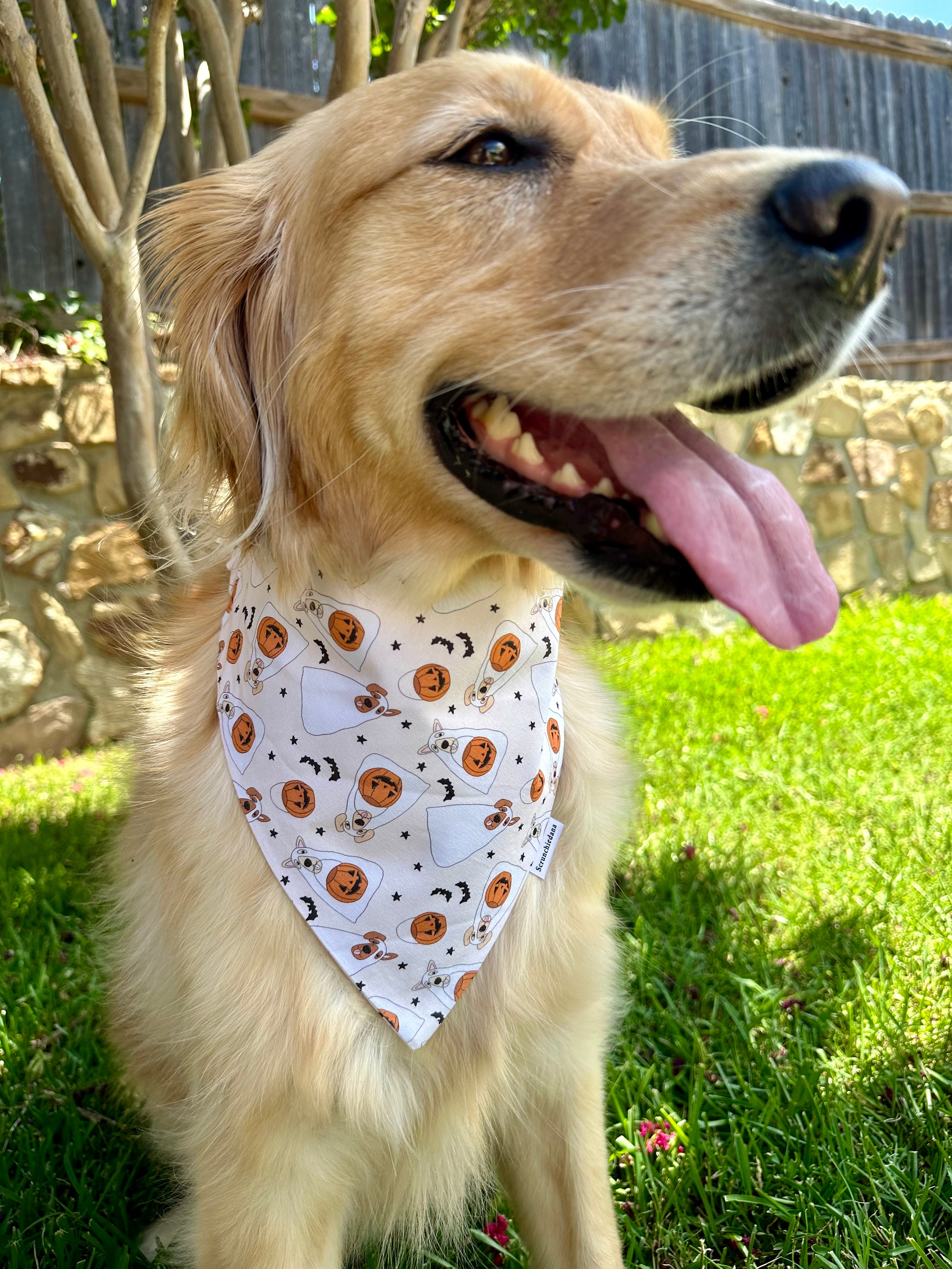 Ghostie Pups Scrunchiedana®