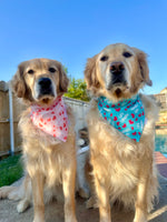 Load image into Gallery viewer, Mamas Girl
