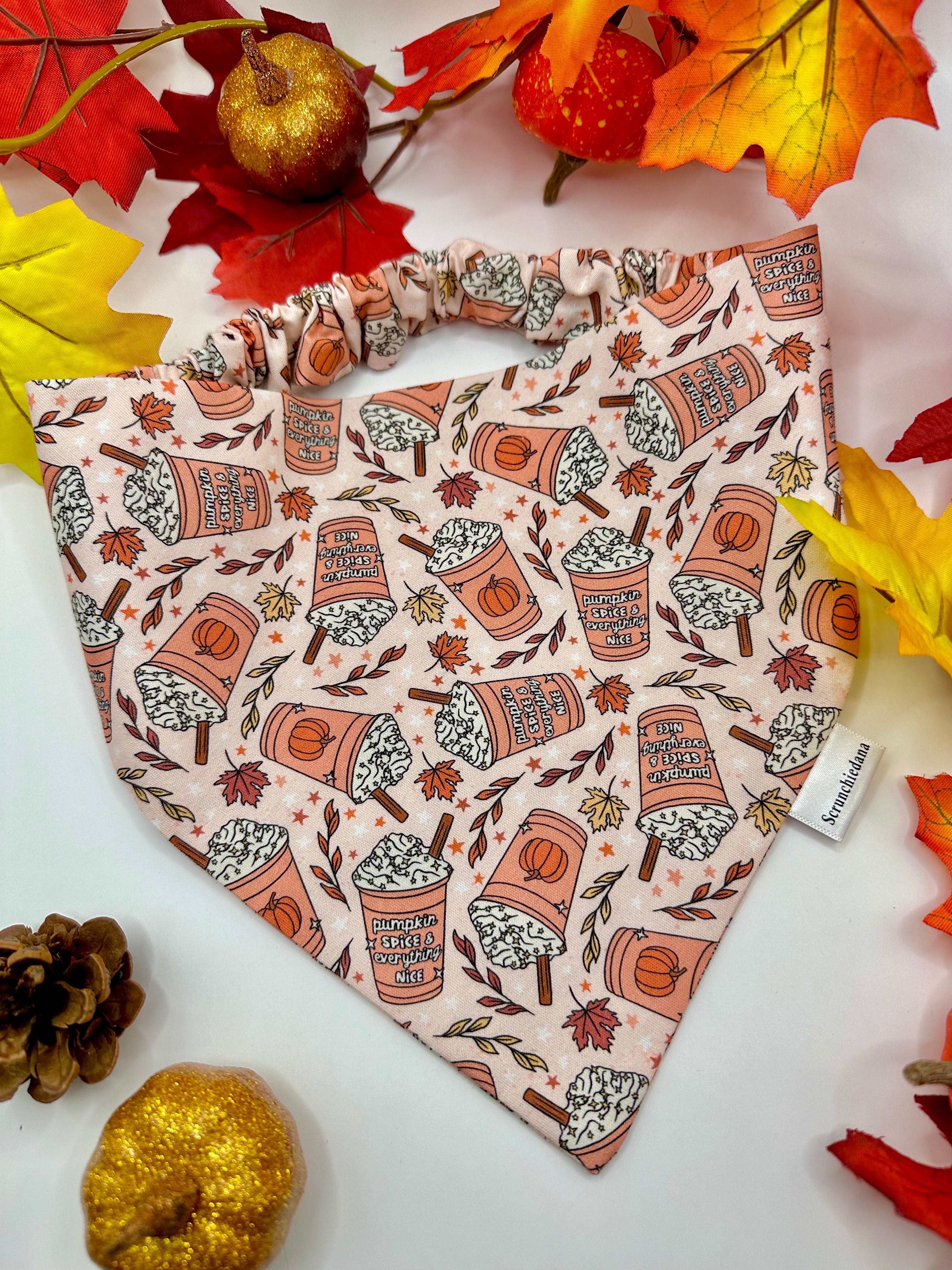 Pumpkin Spice & Everything Nice Scrunchiedana®