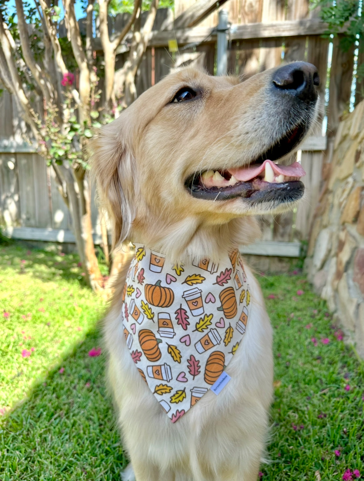 Sweater Weather Scrunchiedana®