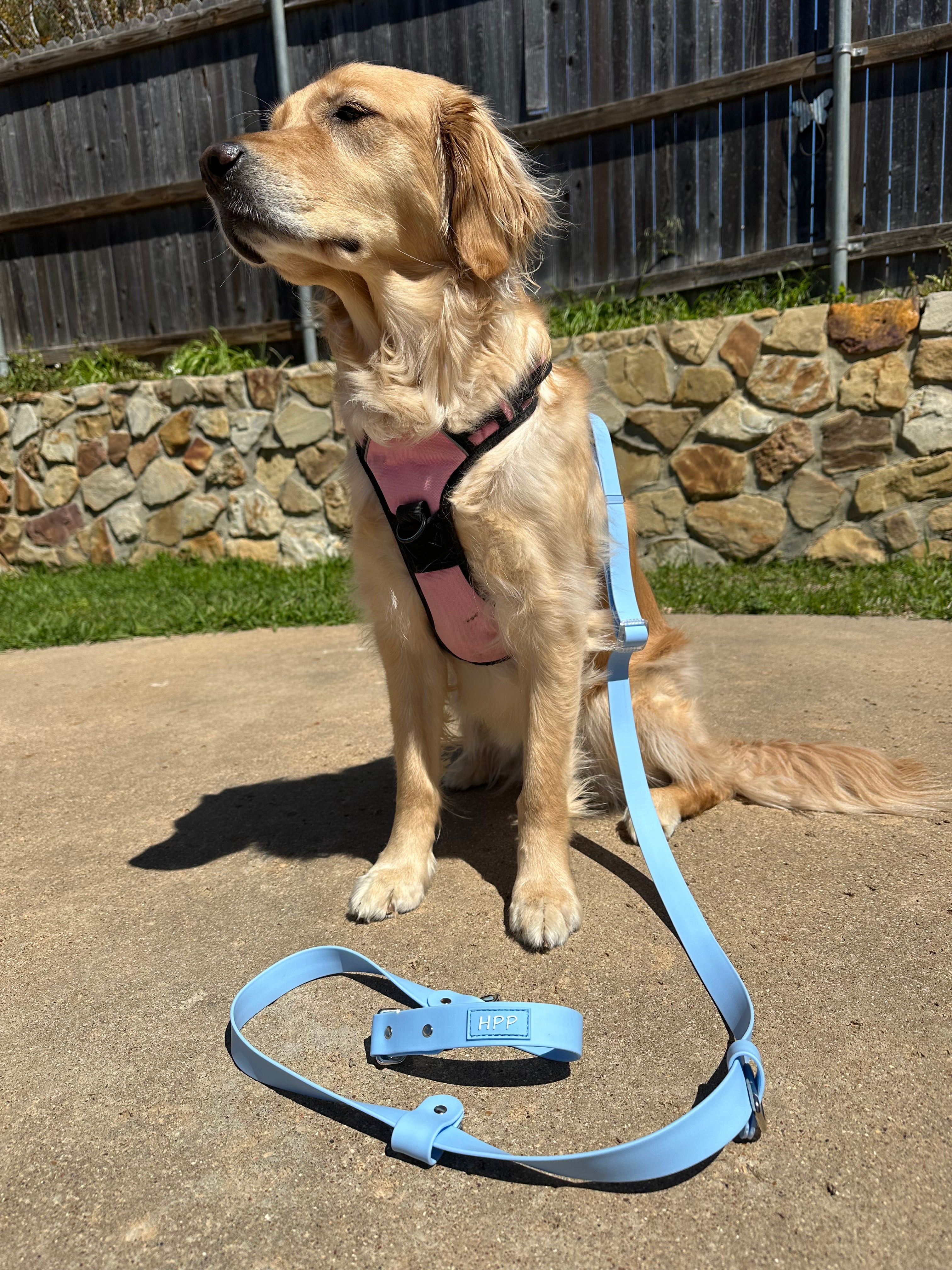 Hands Free Adjustable Leash- Baby Blue