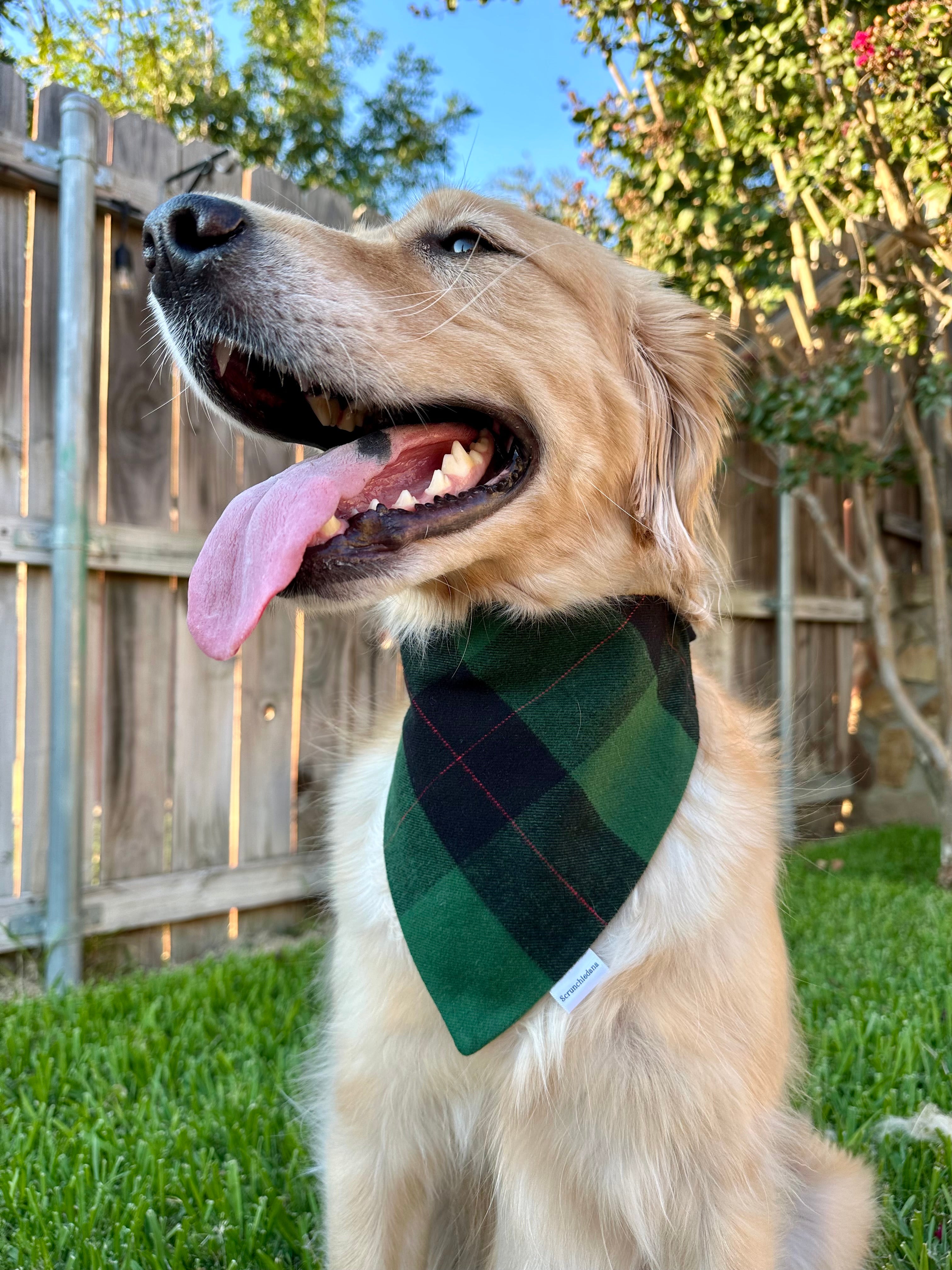 Mistletoe Flannel Scrunchiedana®