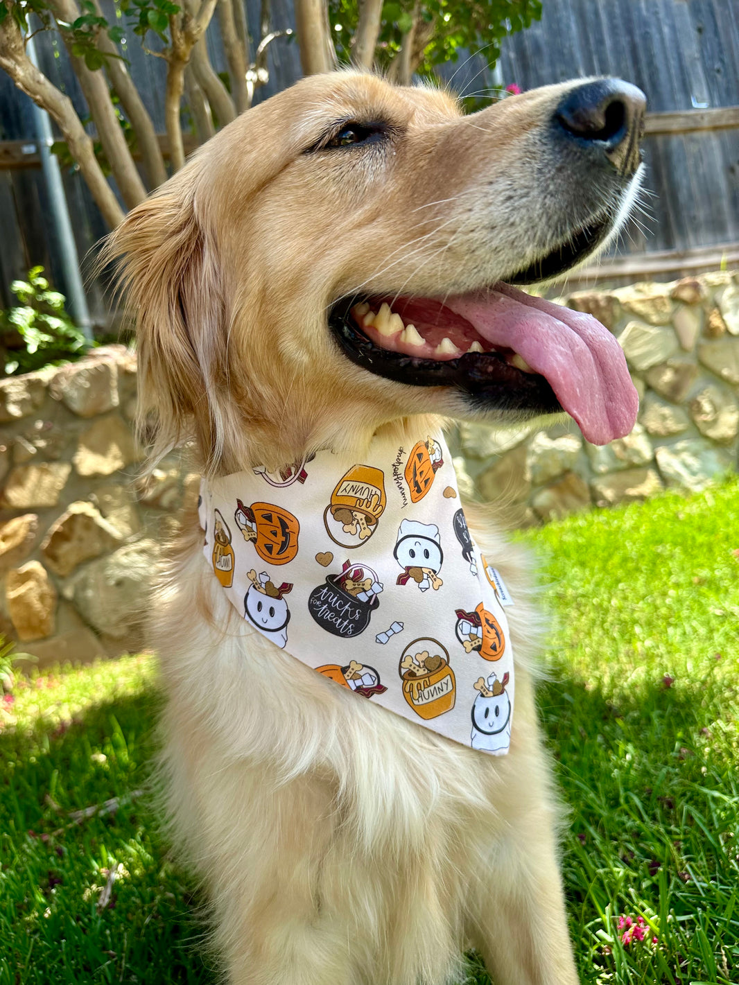 Tricks for treats Scrunchiedana®