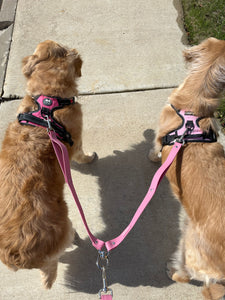 Leash Coupler- Berry Pink