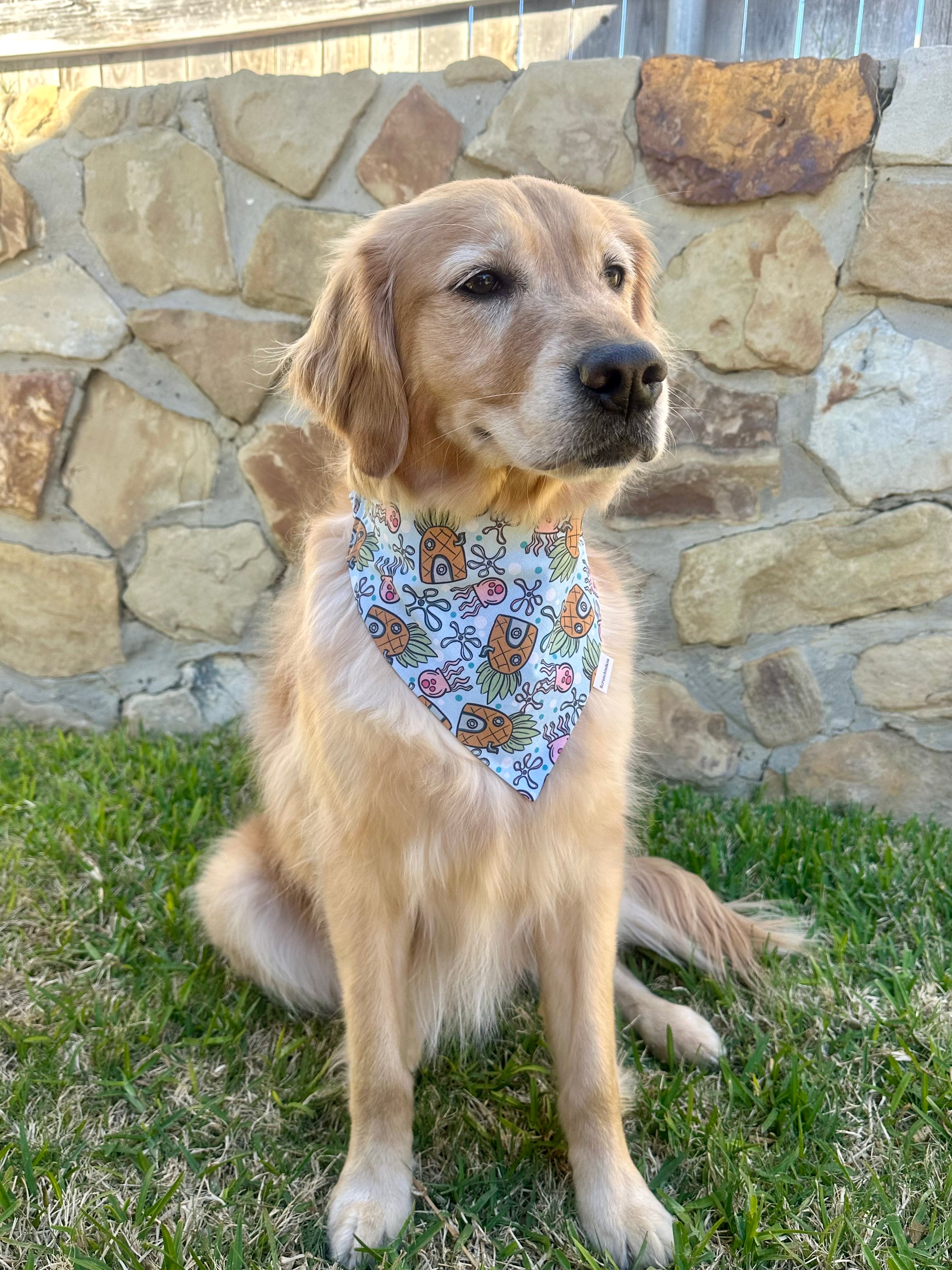 Bikini Bottom Scrunchiedana®