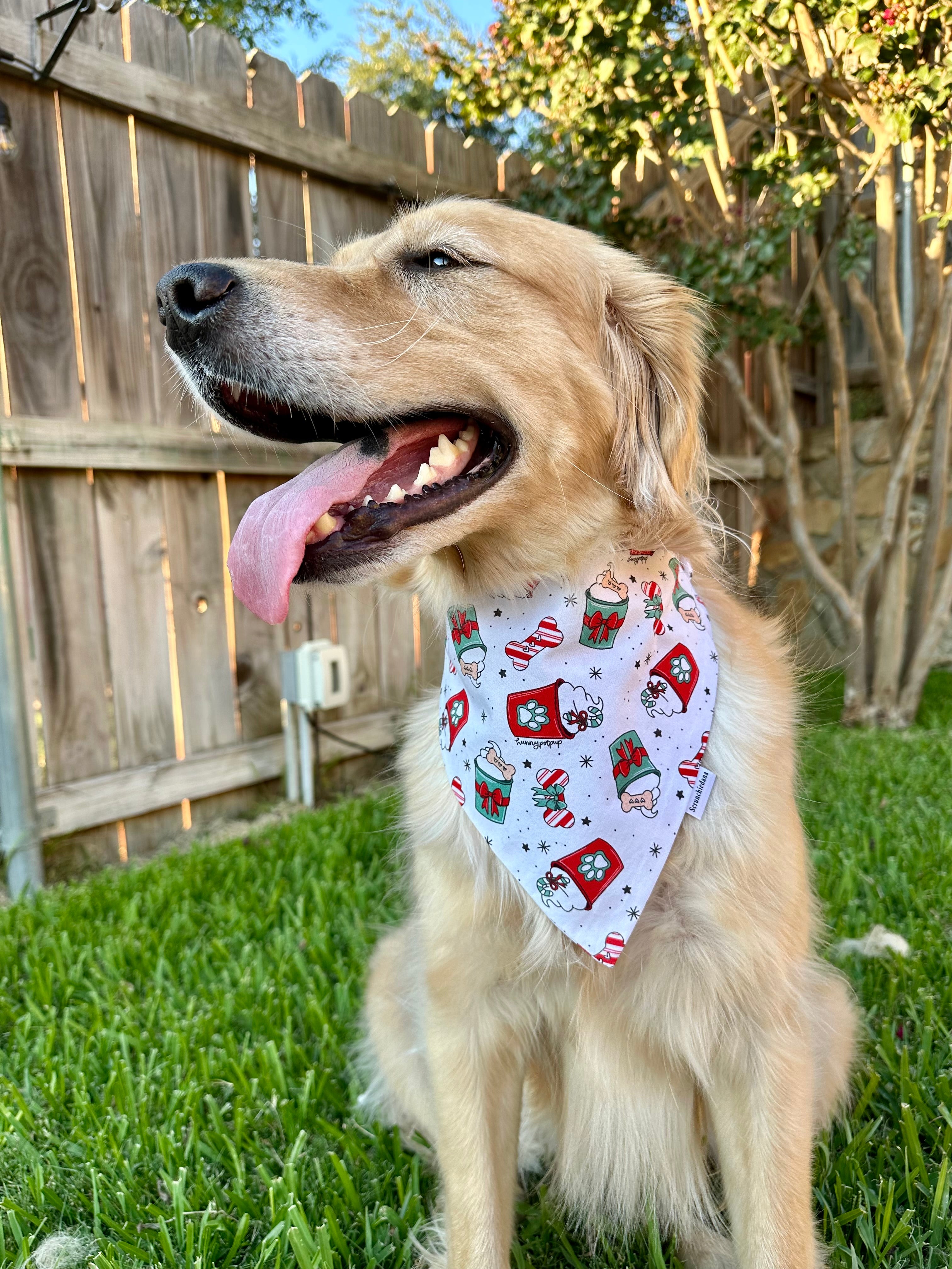 Peppermint Pup Cup Scrunchiedana