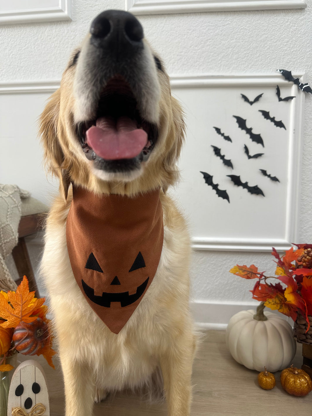 Jack-o-Lantern Scrunchiedana®