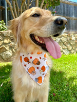 Load image into Gallery viewer, Pups in Pumpkins Scrunchiedana
