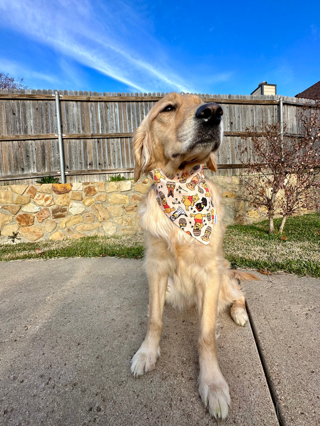 Winnie the Pup