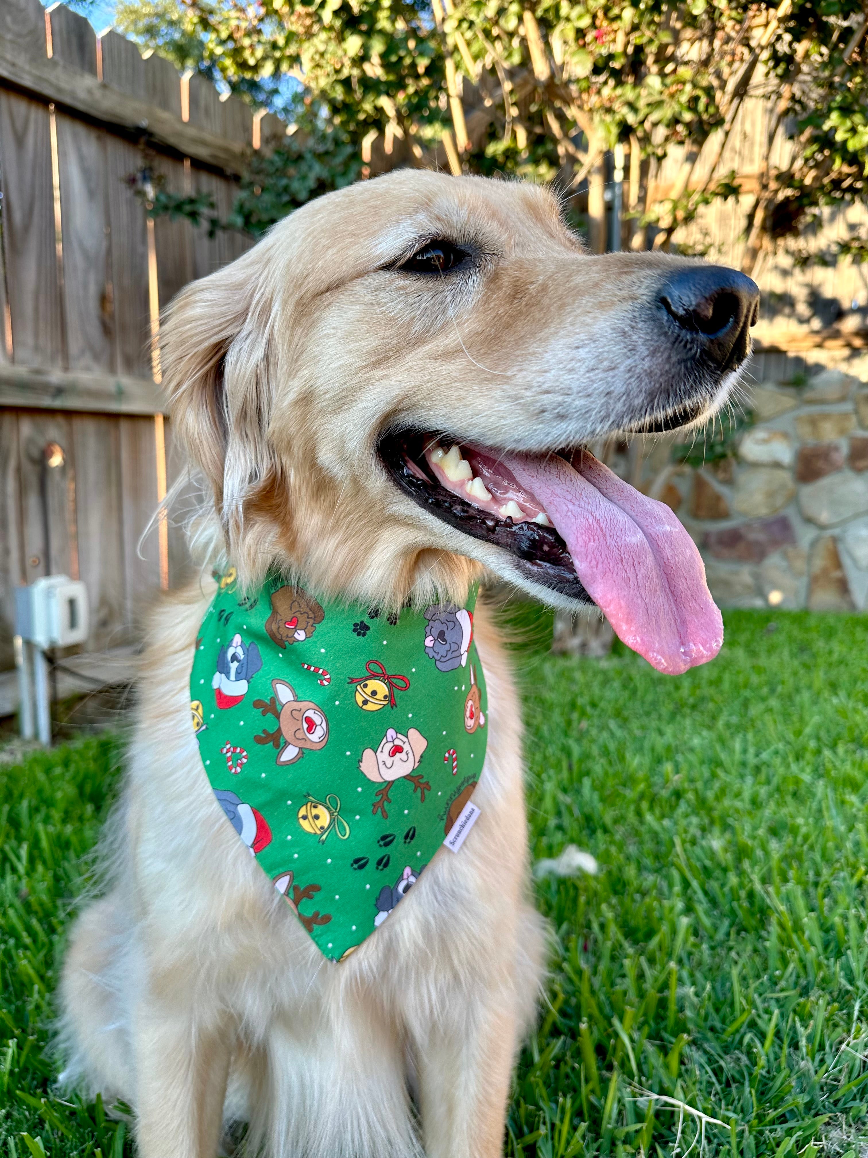 Reindog Scrunchiedana®