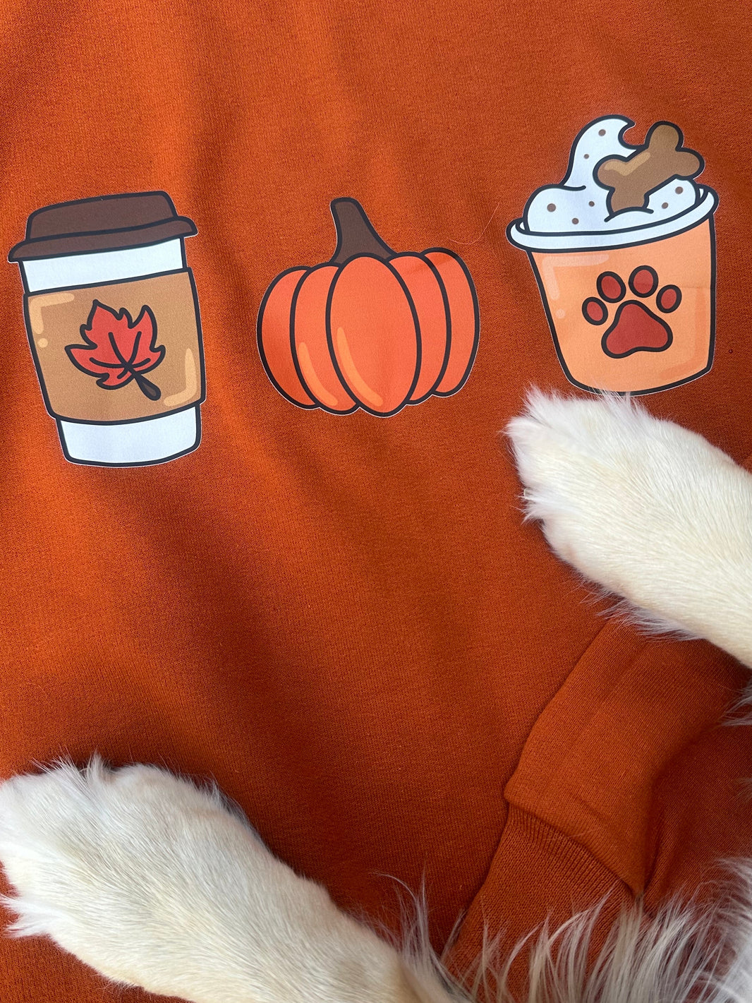 Pupkin Spice Crewneck