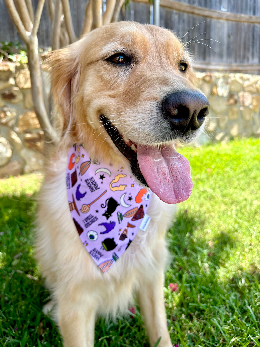 Hocus Pocus Pup Scrunchiedana®
