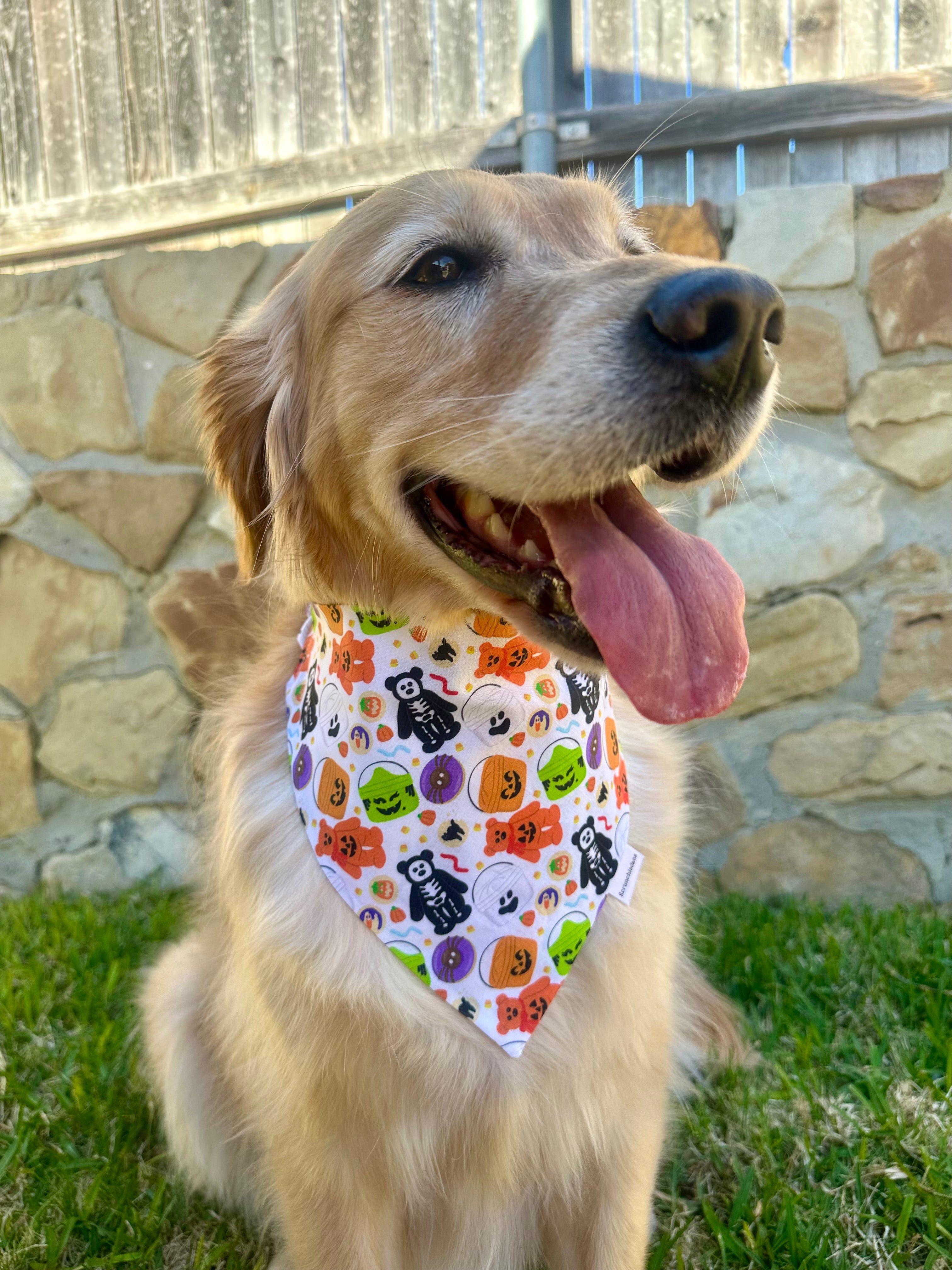 Spooky Beanie Scrunchiedana®