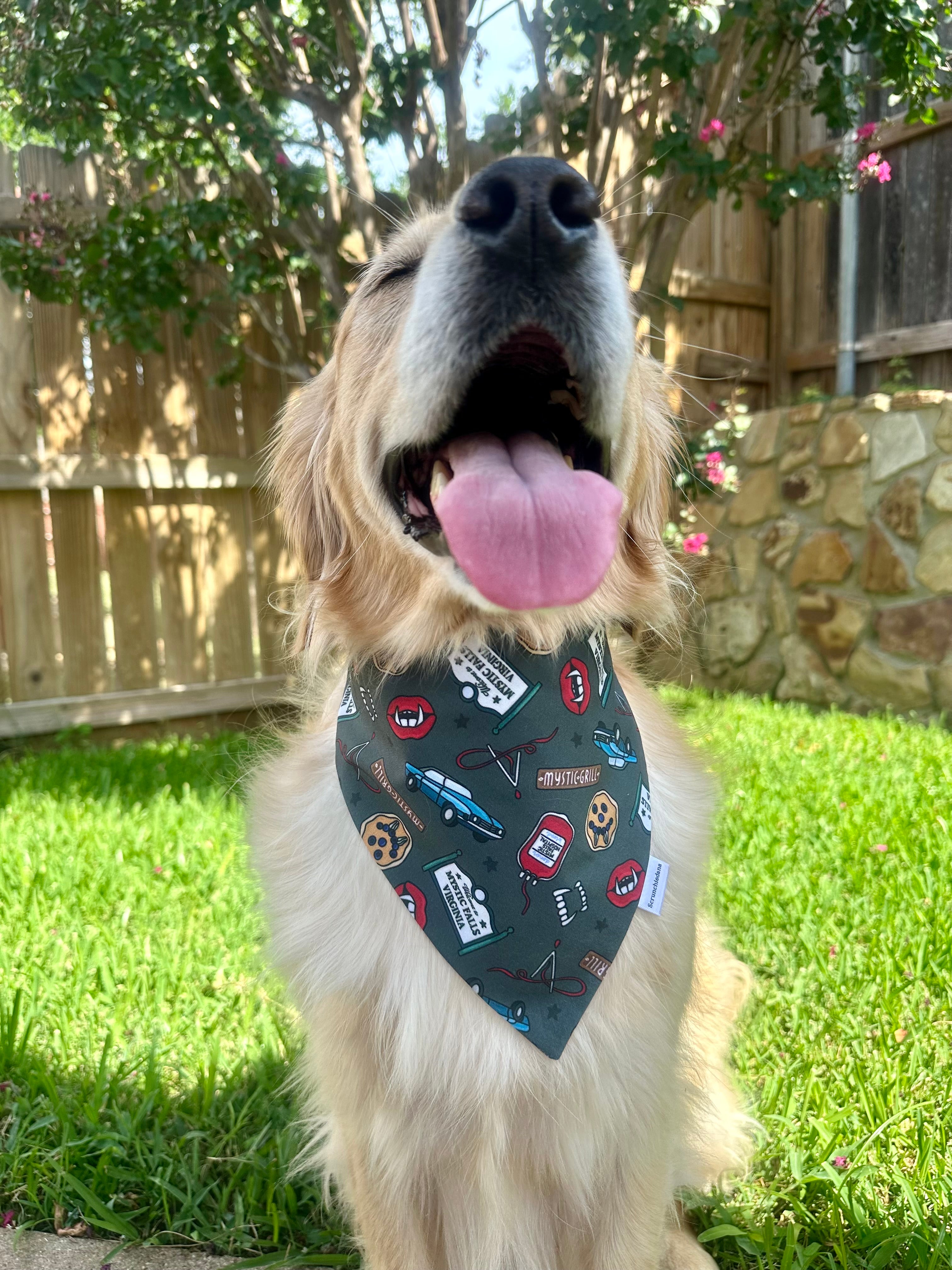 TVD (The Vampire Diaries) Scrunchiedana®