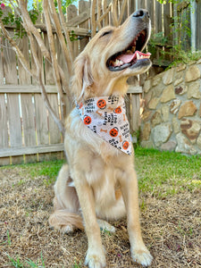 Tricks for Treats Scrunchiedana