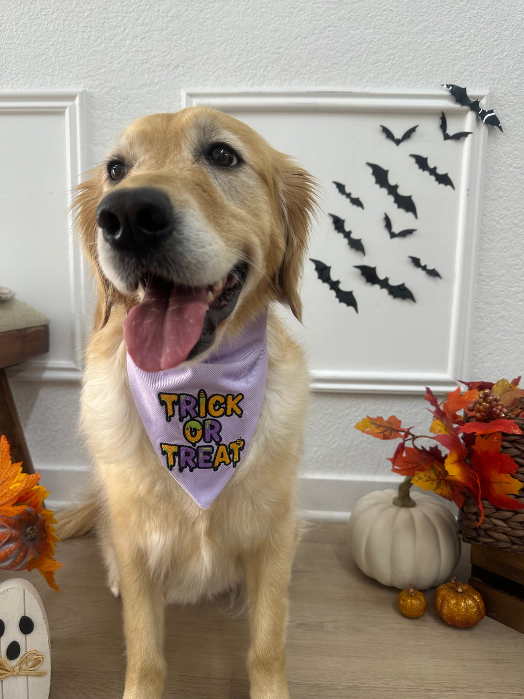 Trick or Treat Scrunchiedana®