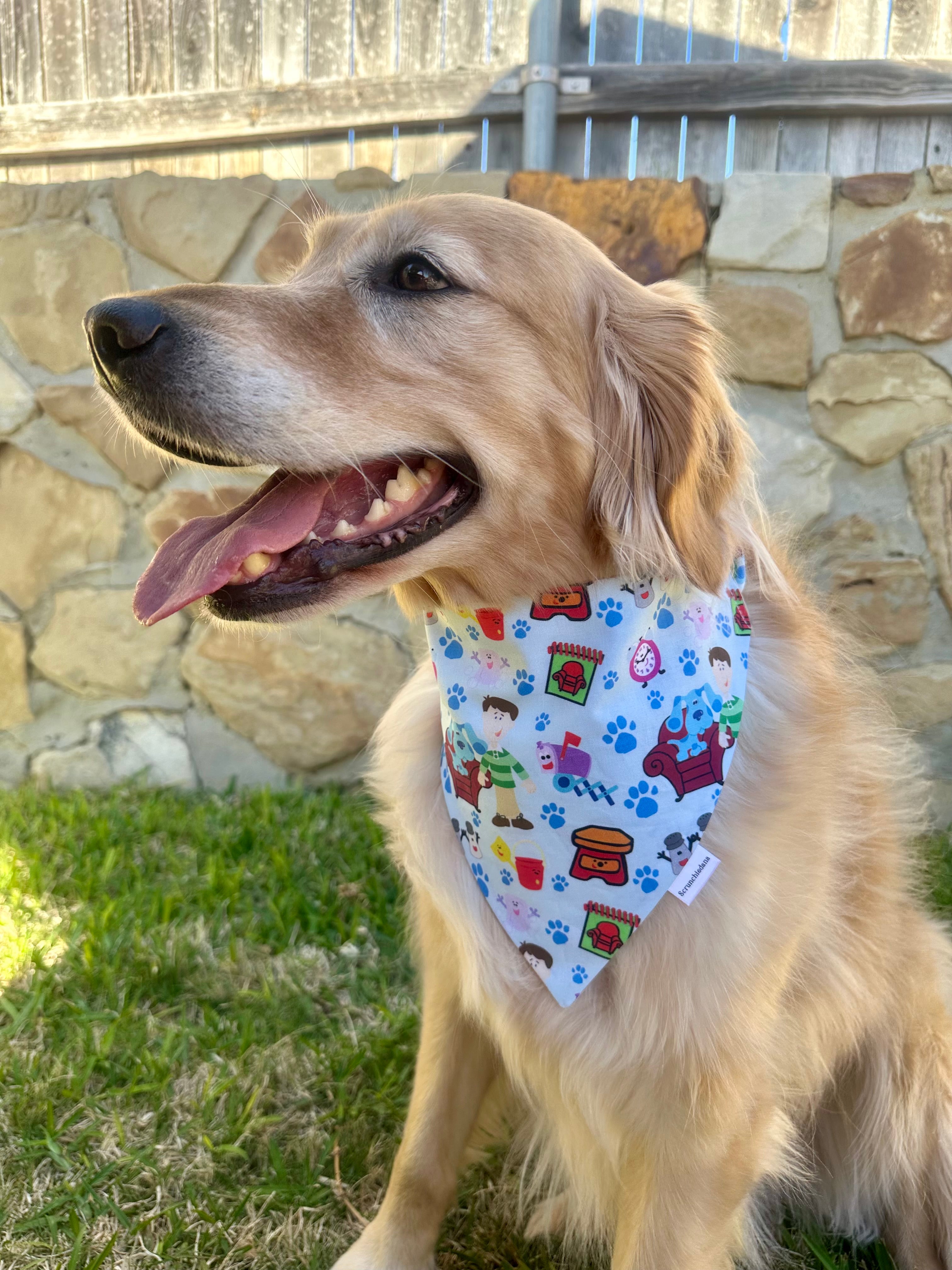 Blue Dog Scrunchiedana®