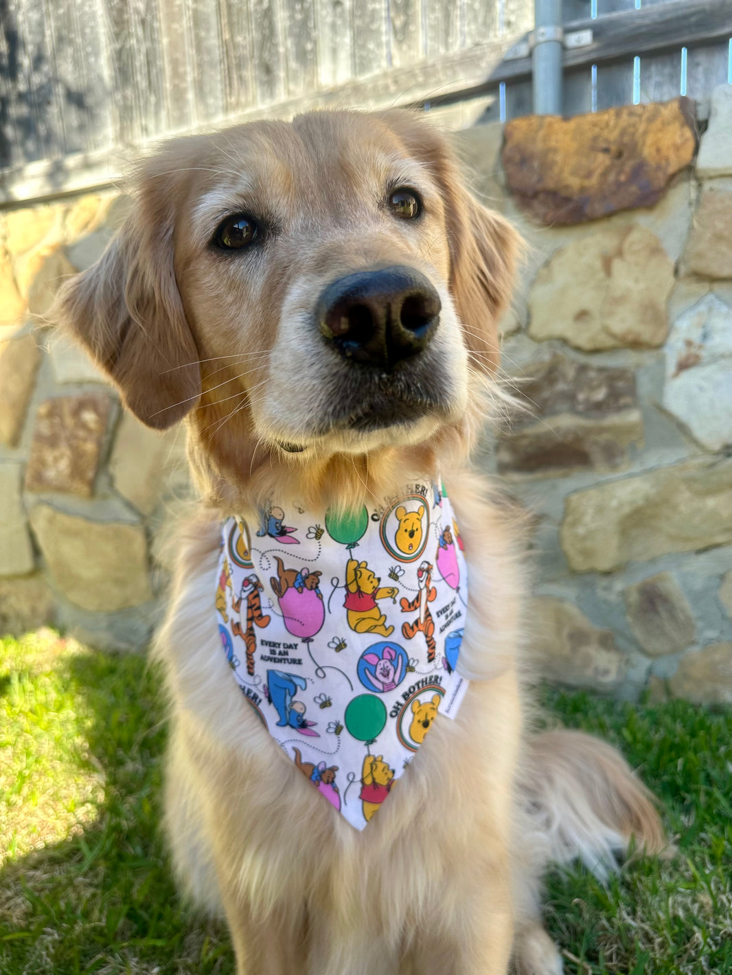 Oh Bother Scrunchiedana®