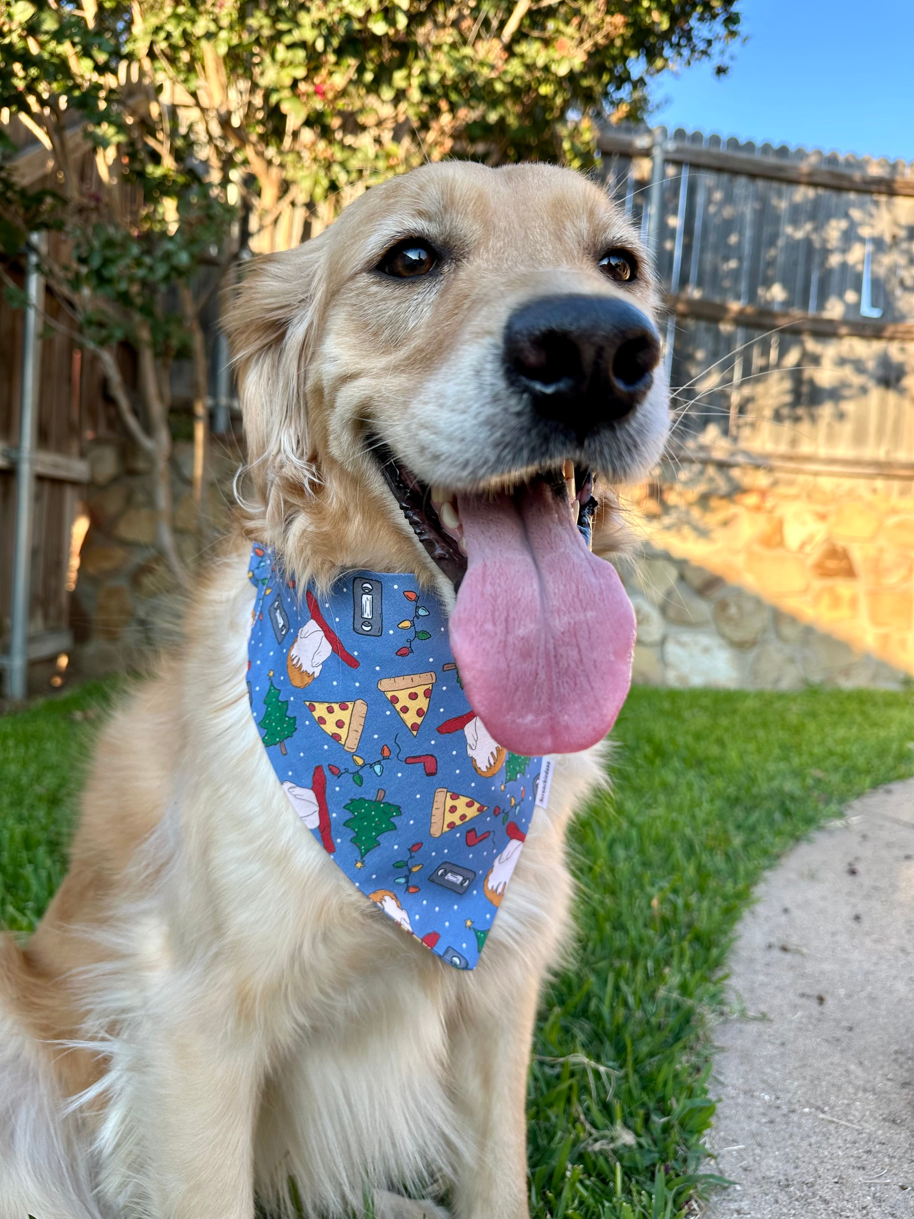 Home Alone Scrunchiedana®