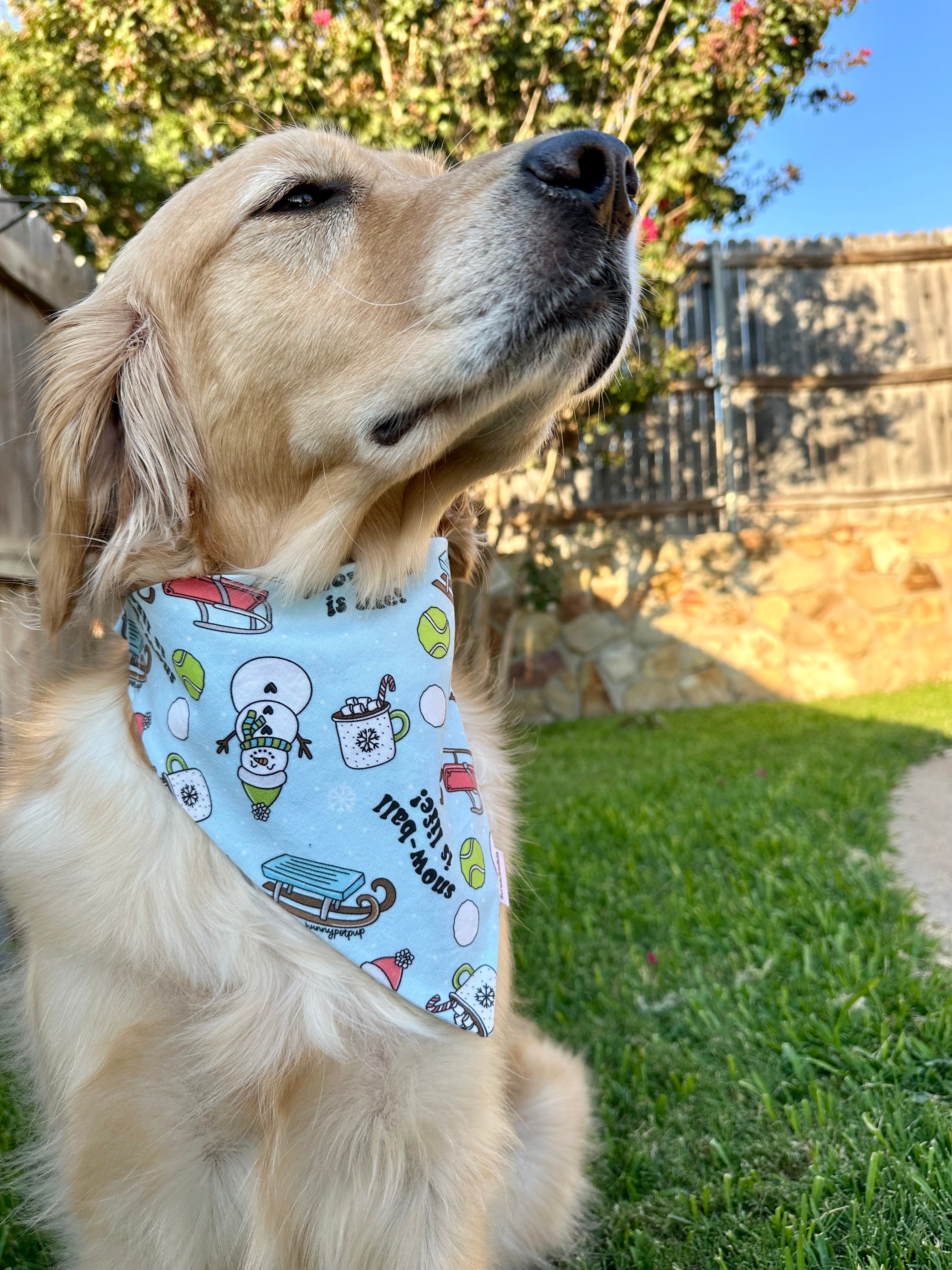 Snowball is Life! Scrunchiedana®