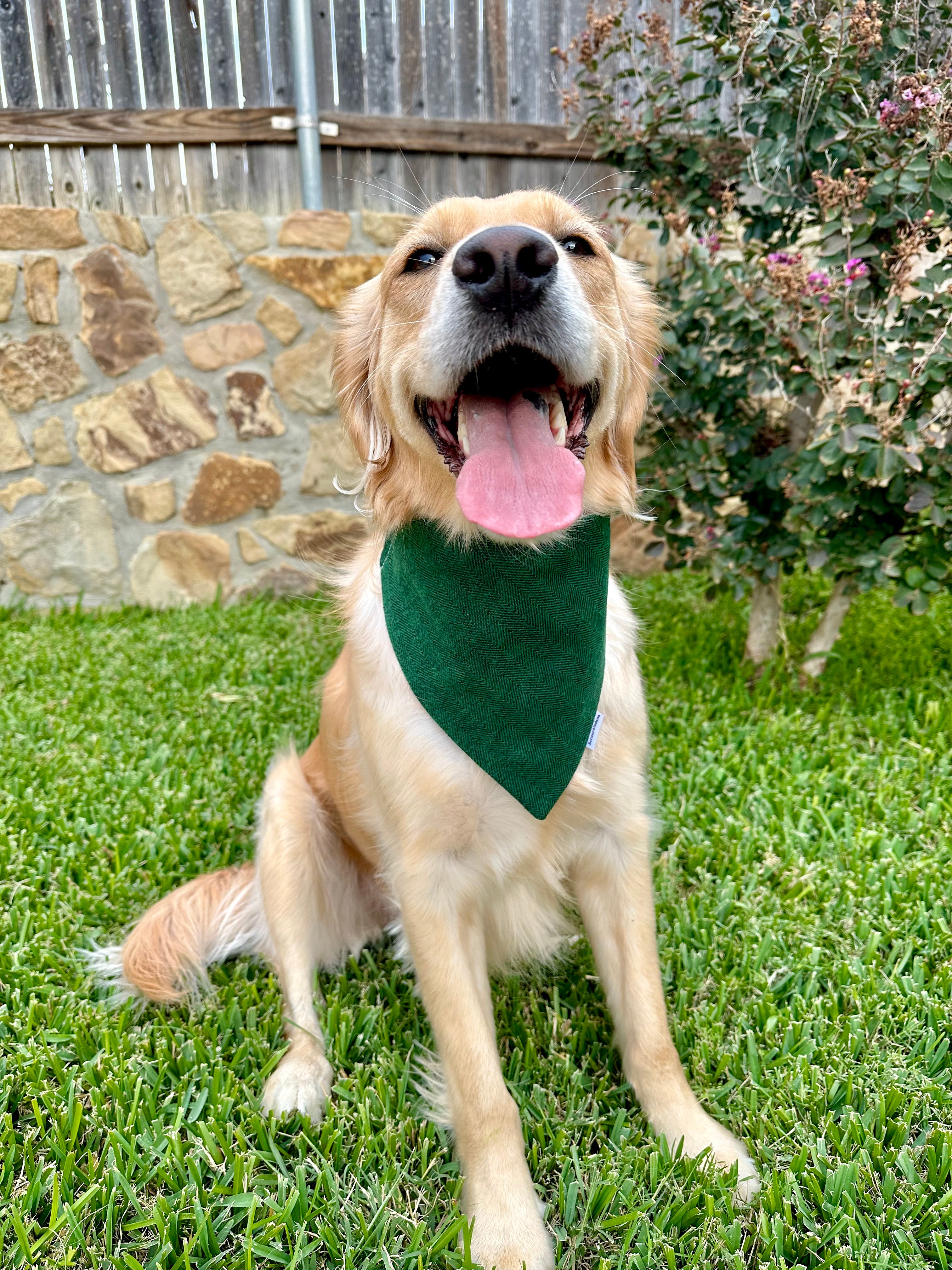 Evergreen Scrunchiedana®